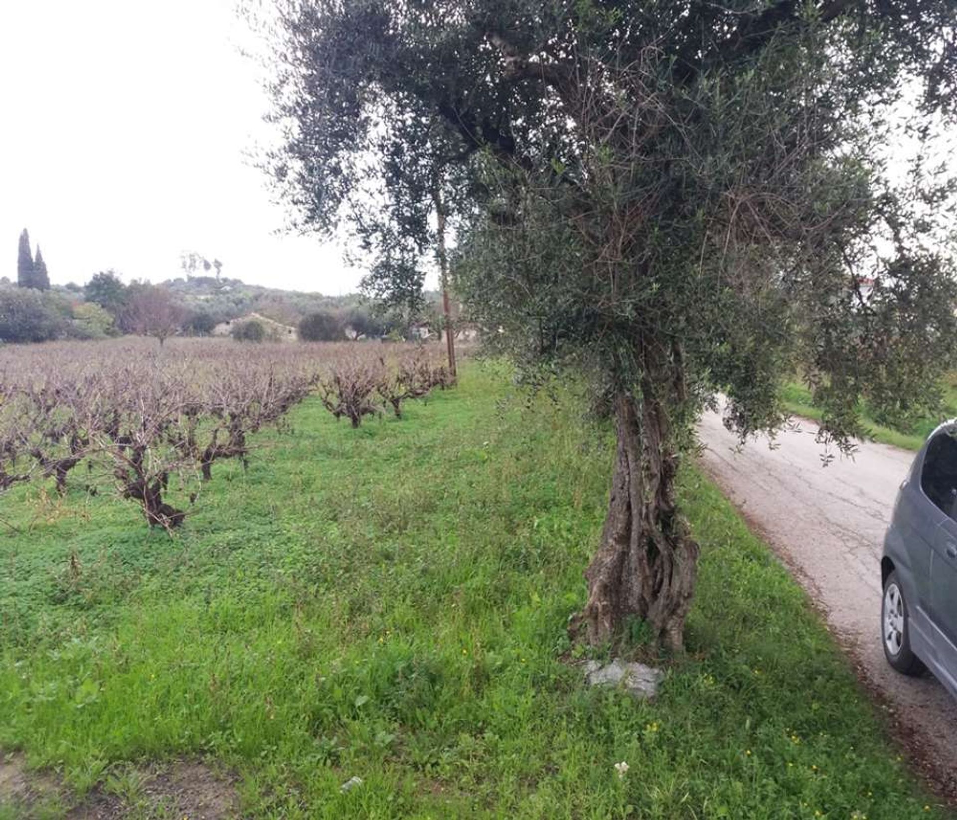 Земельные участки в Zakynthos, Zakinthos 10086545