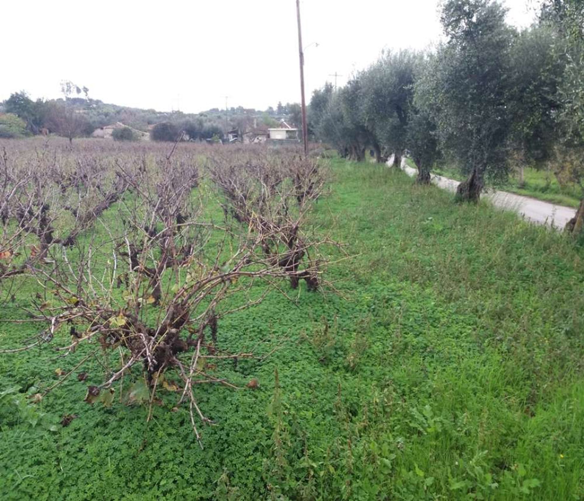 Земельные участки в Zakynthos, Zakinthos 10086545