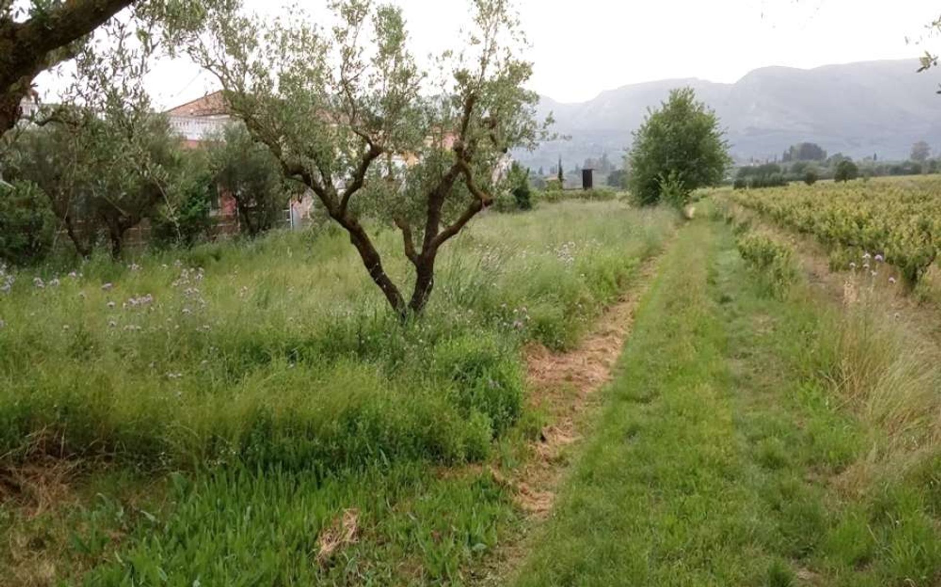 Земля в Zakynthos, Zakinthos 10086547