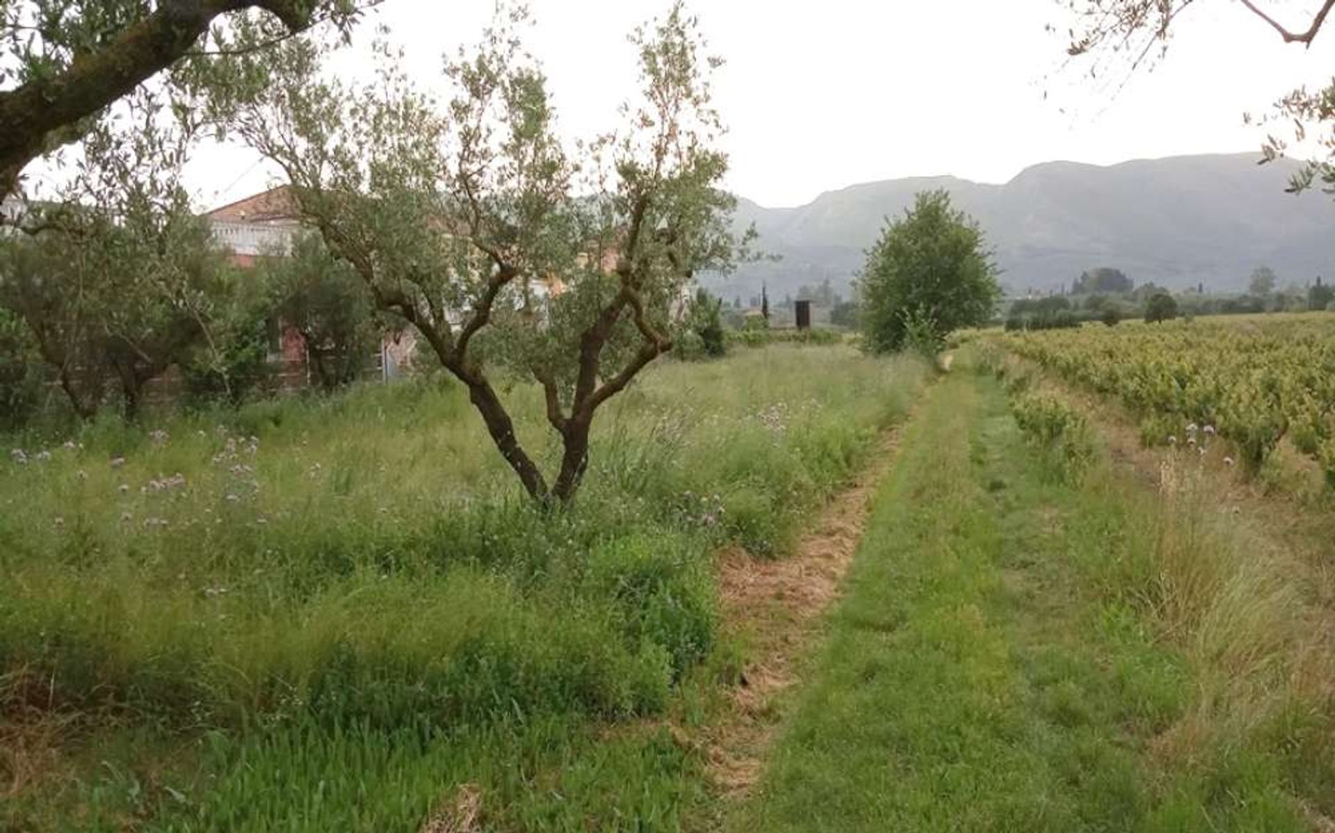 Земля в Zakynthos, Zakinthos 10086547