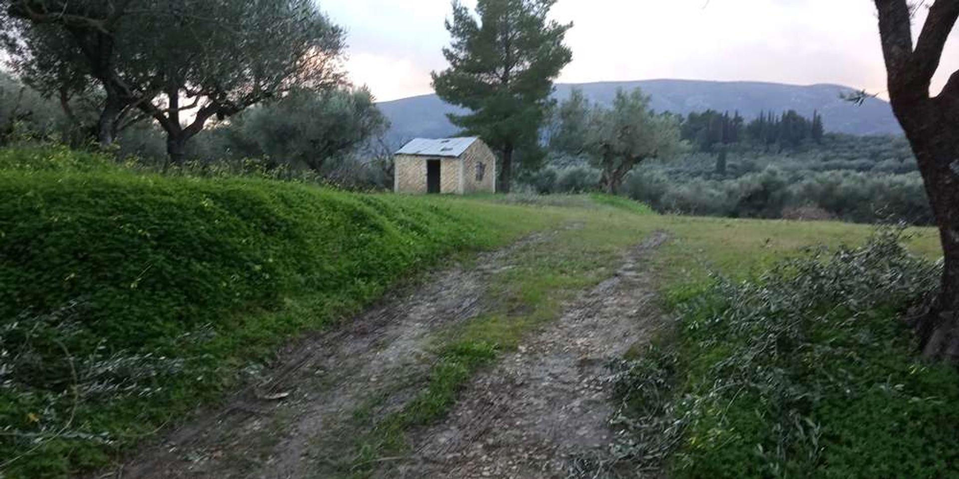 Земля в Zakynthos, Zakinthos 10086549