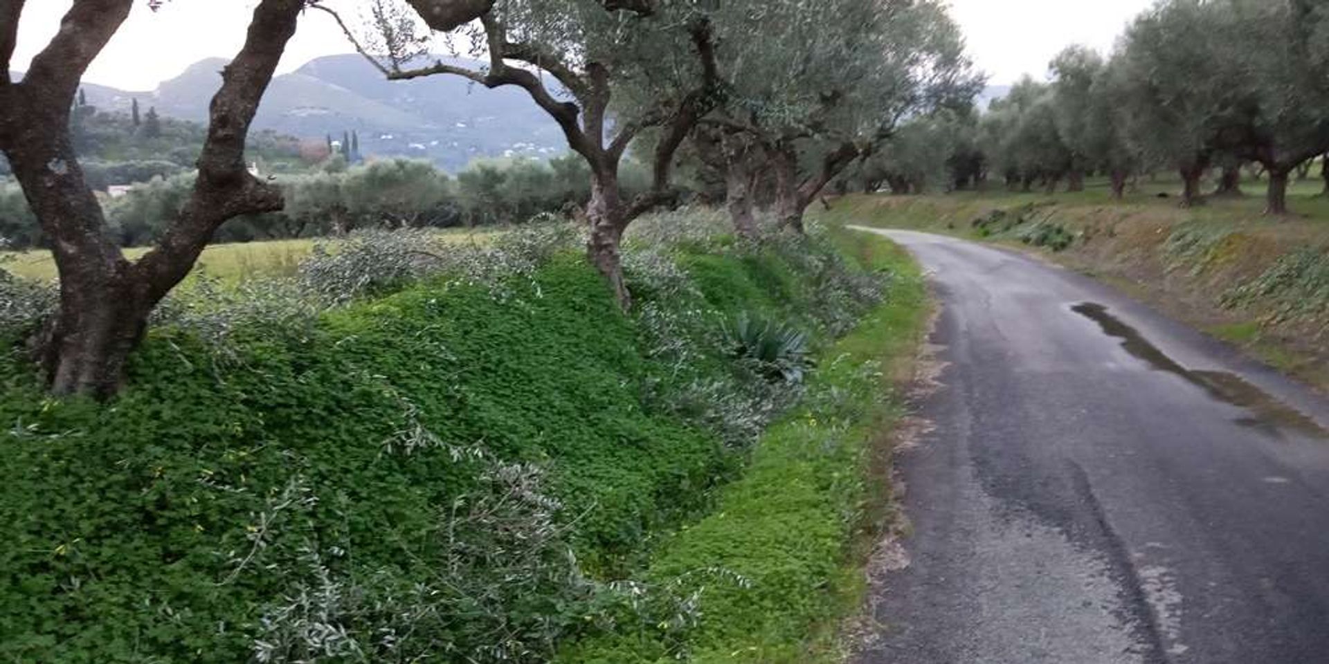 Jord i Zakynthos, Zakinthos 10086549