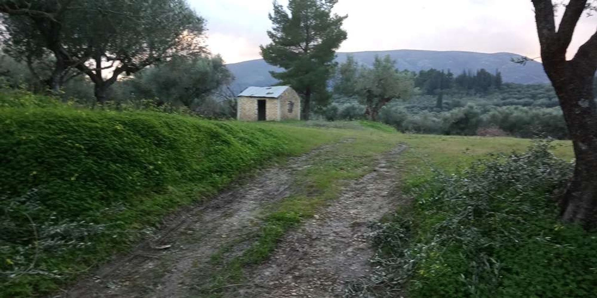 Земля в Zakynthos, Zakinthos 10086549