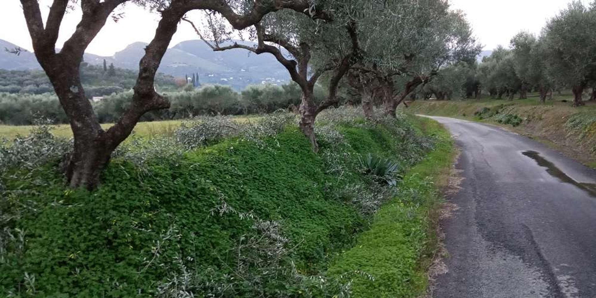 土地 在 Zakynthos, Zakinthos 10086549