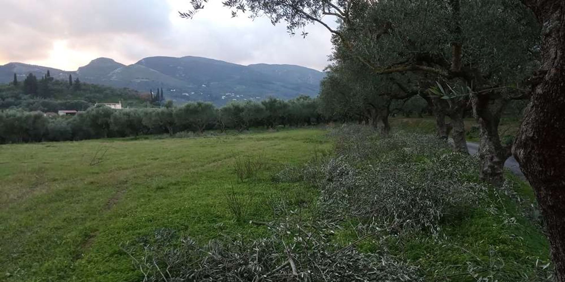 Jord i Zakynthos, Zakinthos 10086549