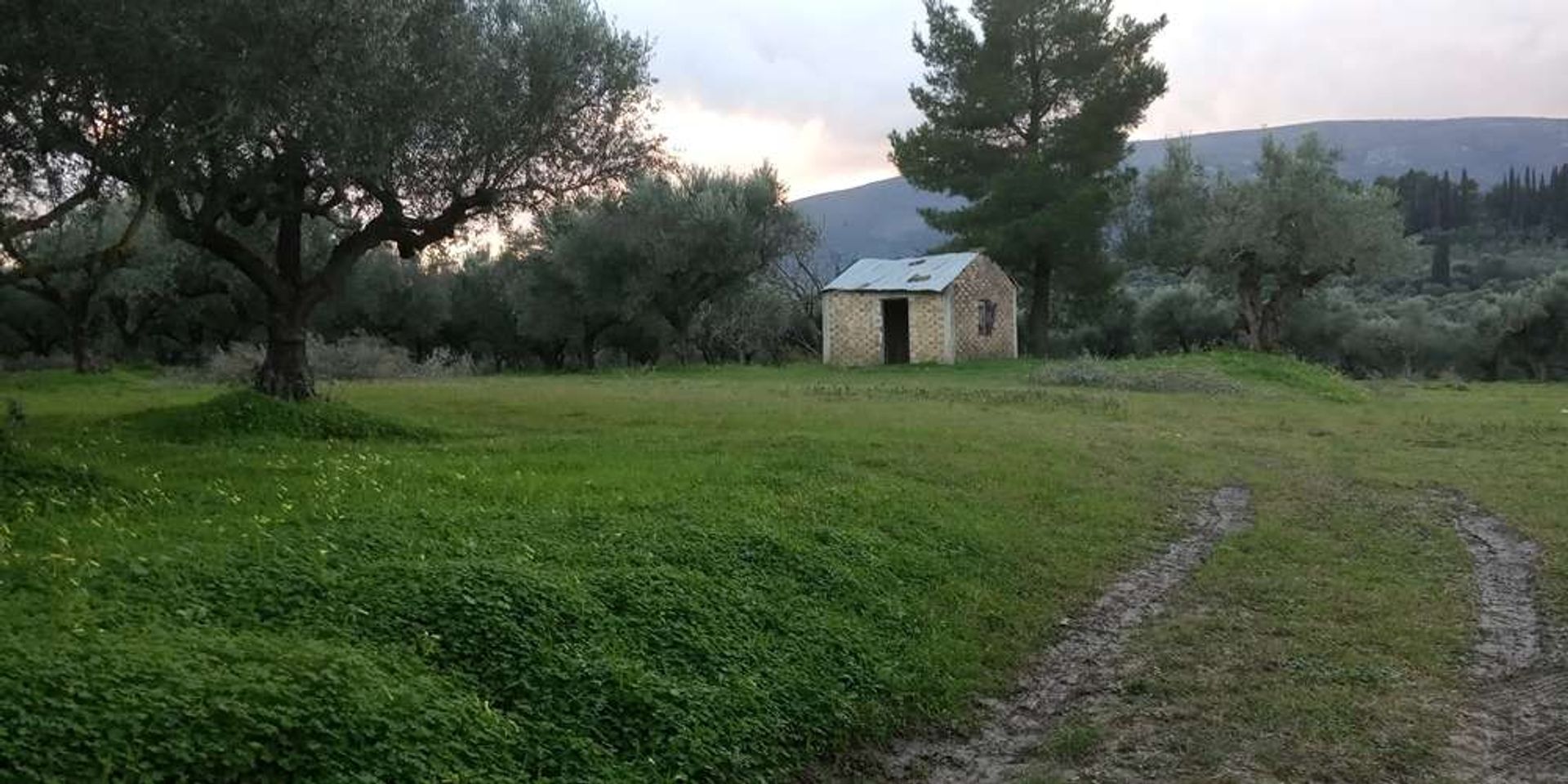 Land i Zakynthos, Zakinthos 10086549