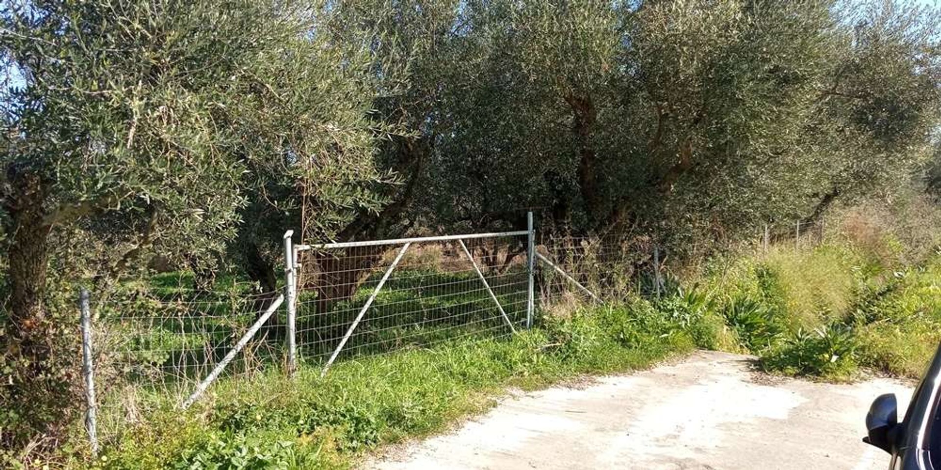 Land i Zakynthos, Zakinthos 10086550