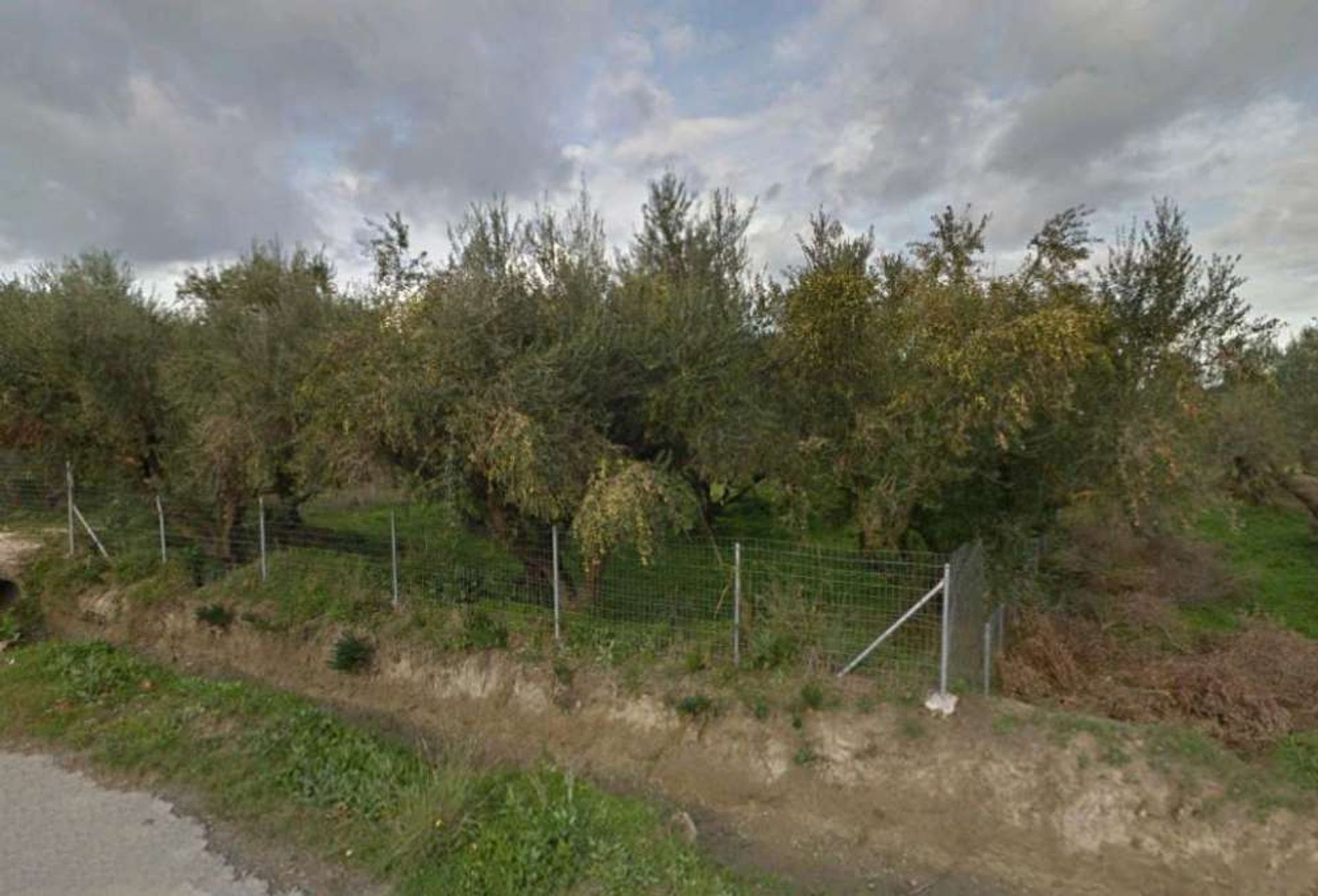 Tanah di Zakynthos, Zakinthos 10086550