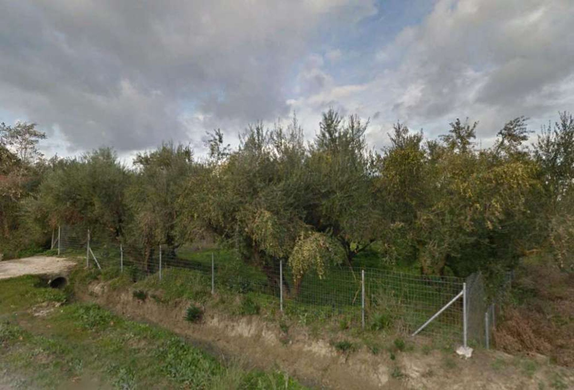 Tanah dalam Zakynthos, Zakinthos 10086550