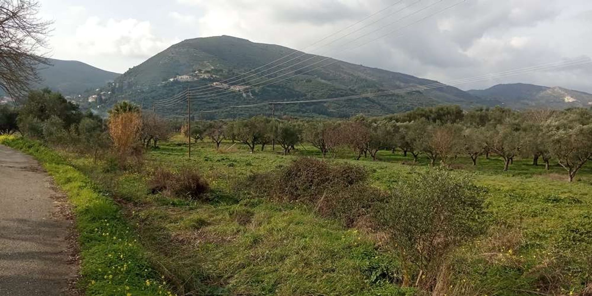 Земля в Zakynthos, Zakinthos 10086551