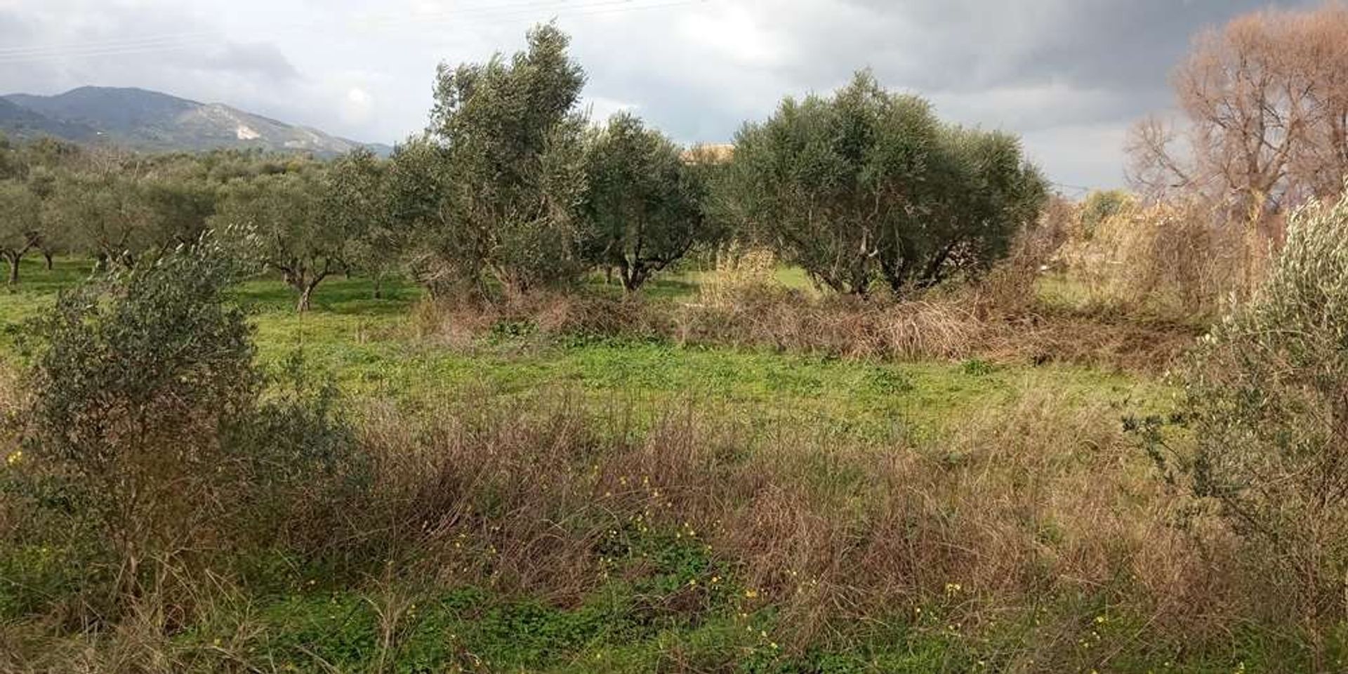 Земля в Zakynthos, Zakinthos 10086551