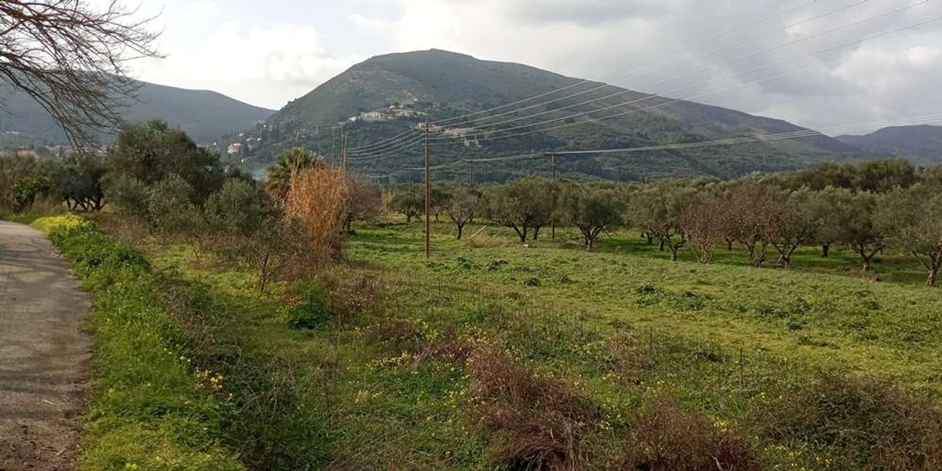 Земля в Zakynthos, Zakinthos 10086551