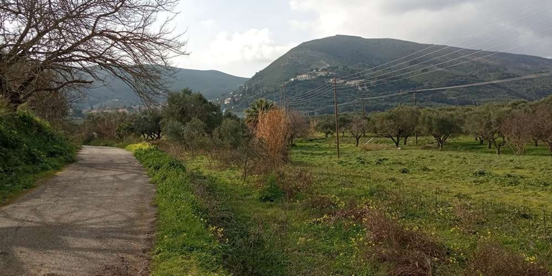 Земля в Zakynthos, Zakinthos 10086551