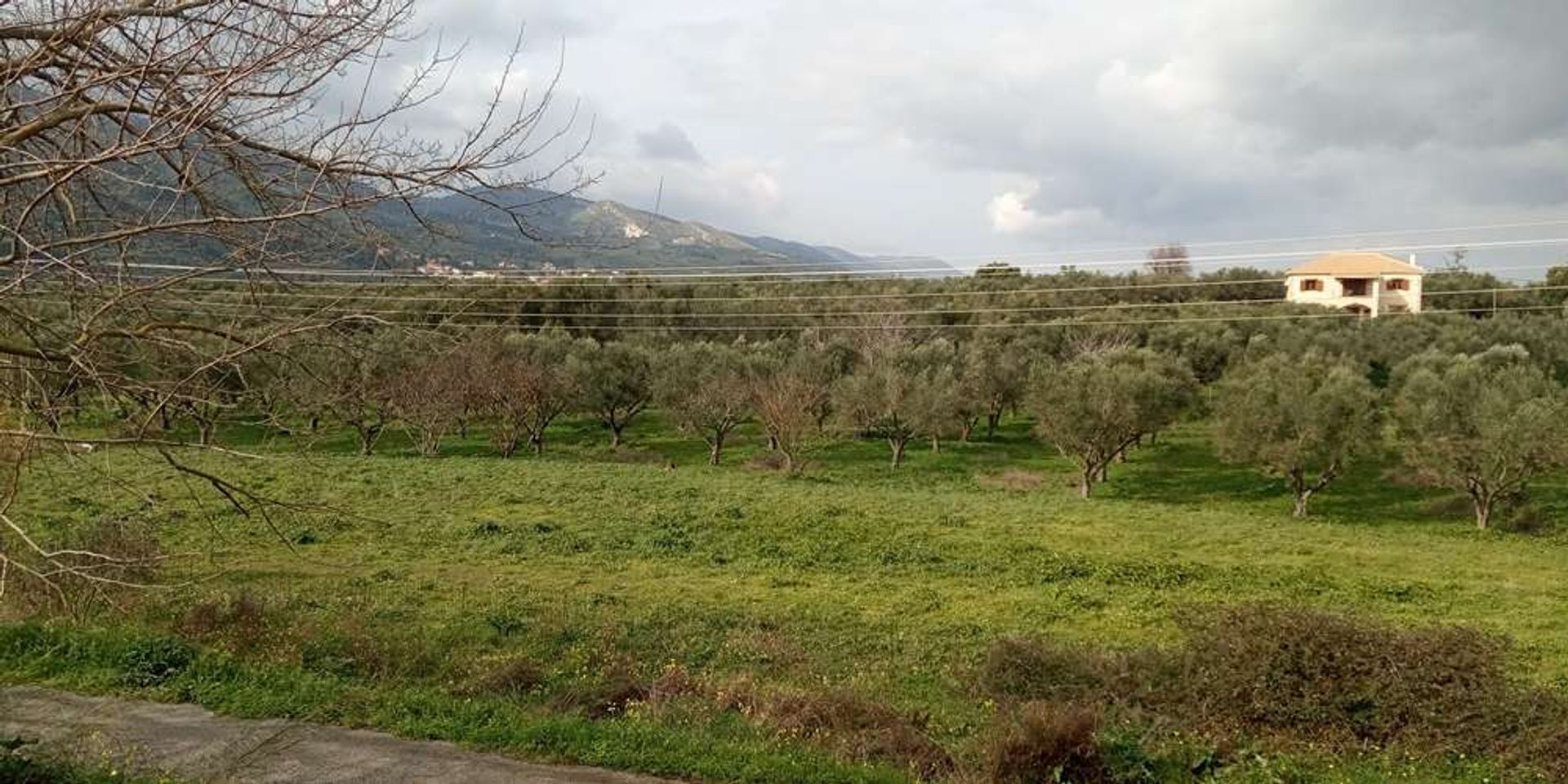 Земля в Zakynthos, Zakinthos 10086551