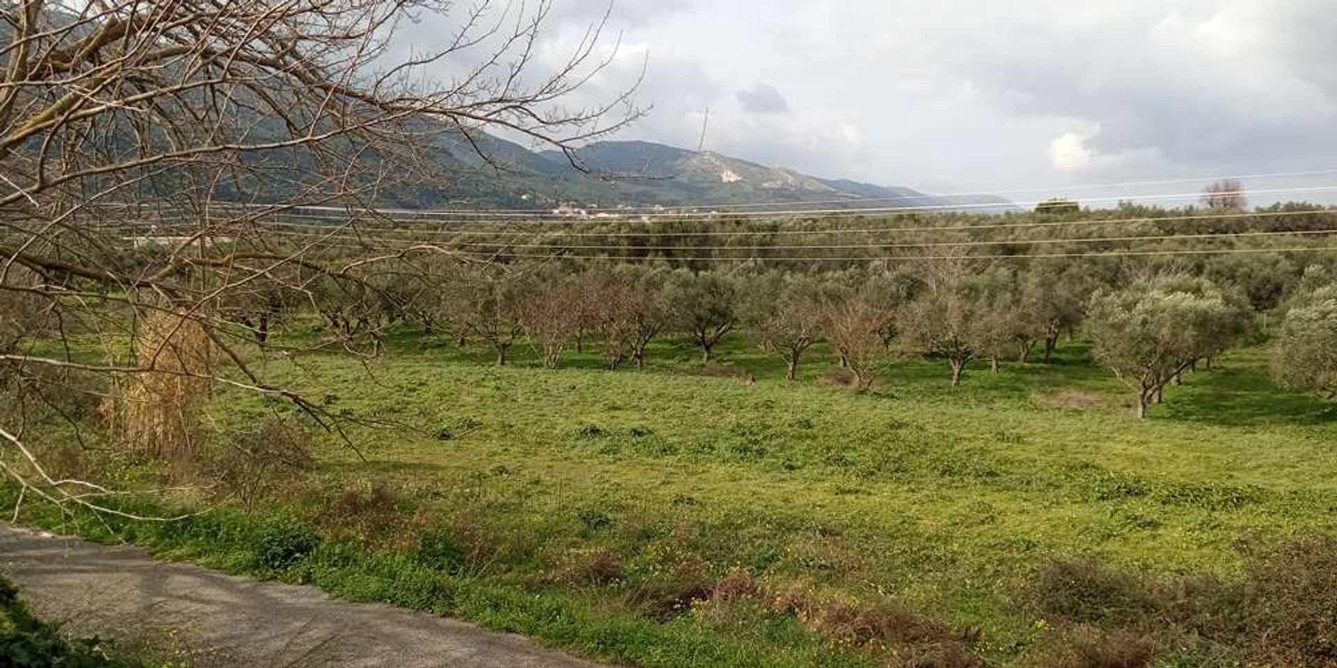 Земля в Zakynthos, Zakinthos 10086551