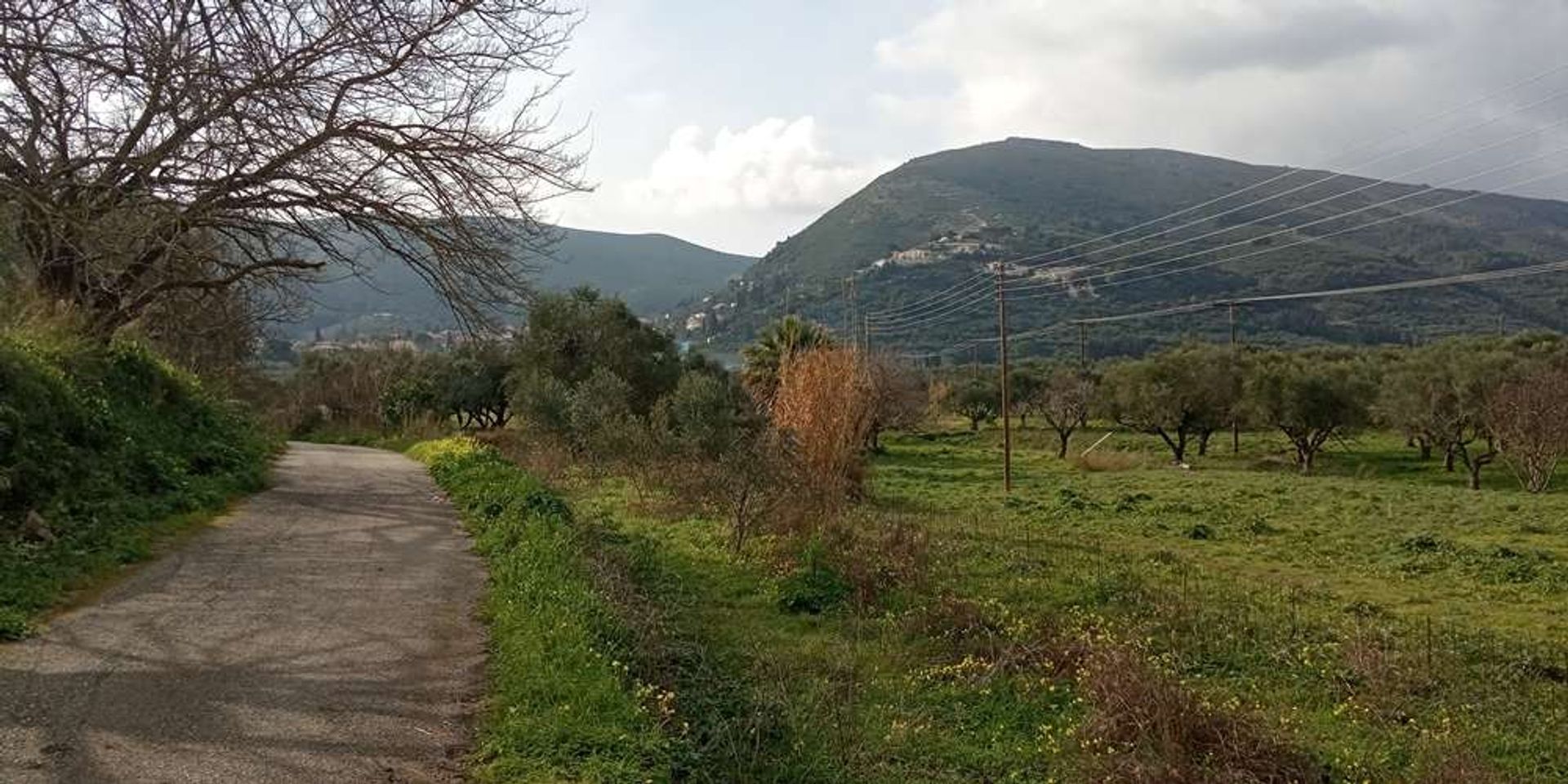 Земля в Zakynthos, Zakinthos 10086551