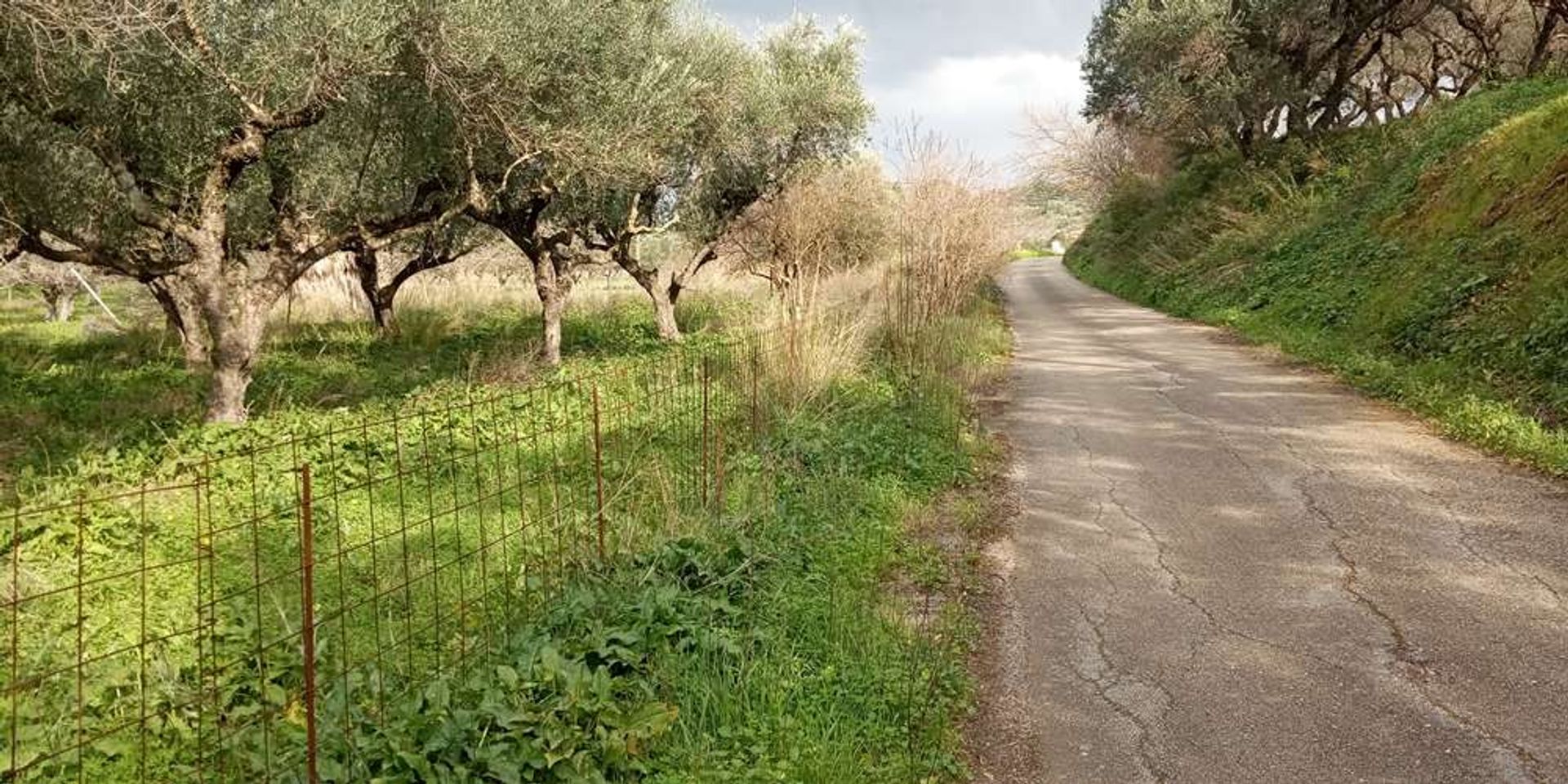 Tierra en bochalí, Jonia Nisia 10086551