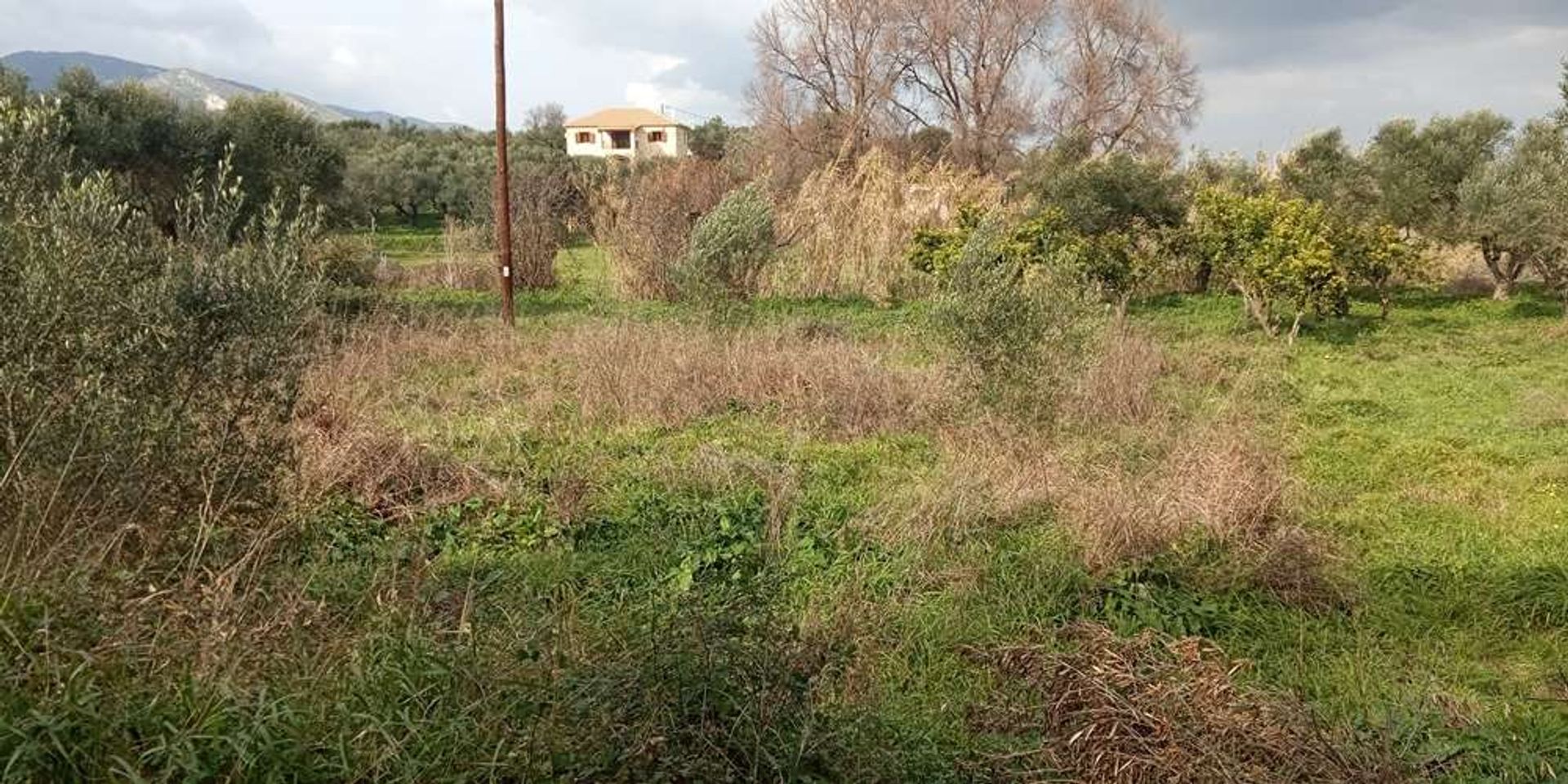 Земля в Zakynthos, Zakinthos 10086551