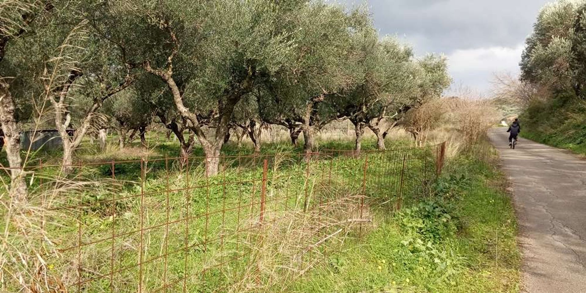 Tierra en bochalí, Jonia Nisia 10086551