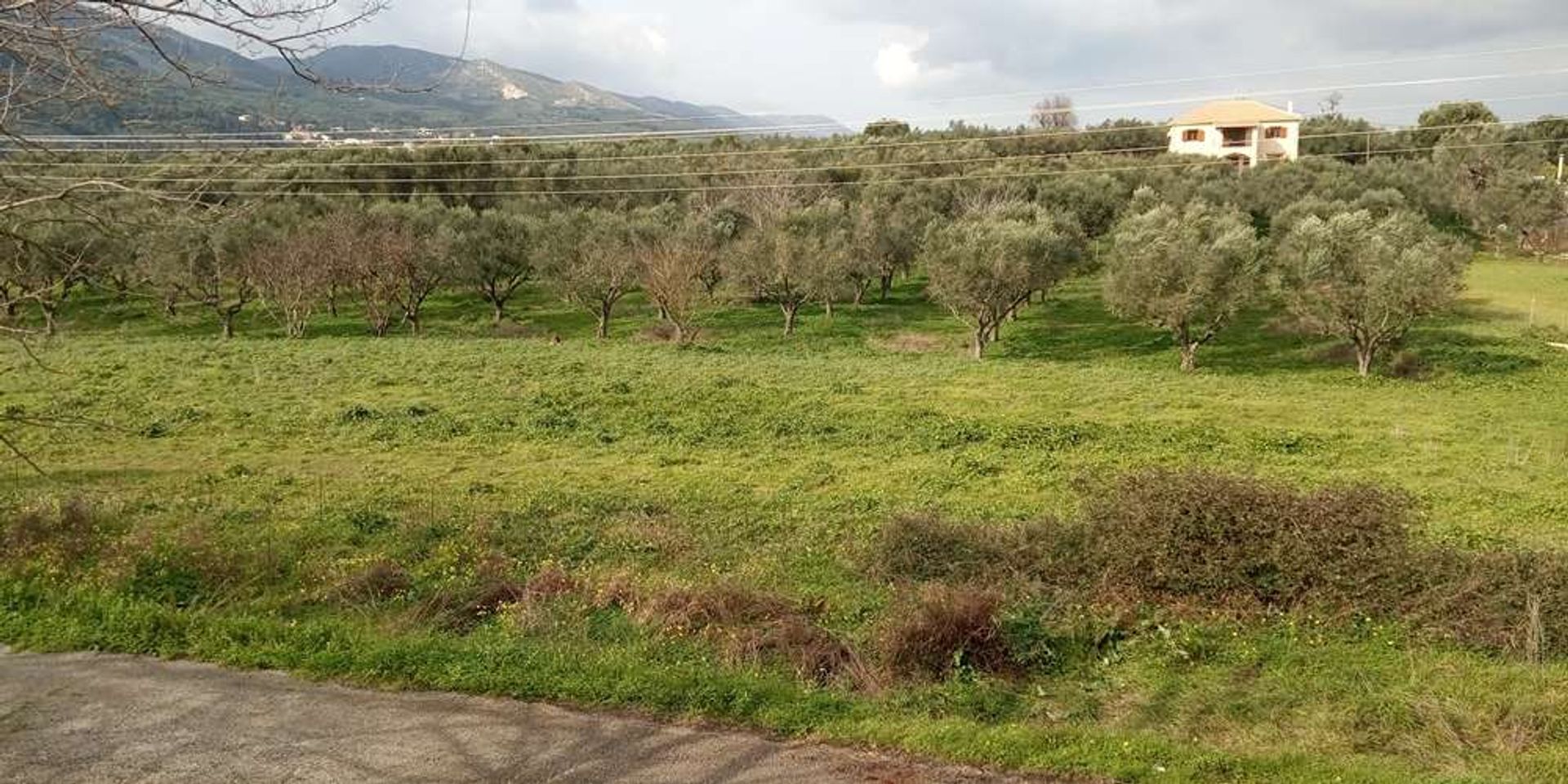 Земля в Zakynthos, Zakinthos 10086551