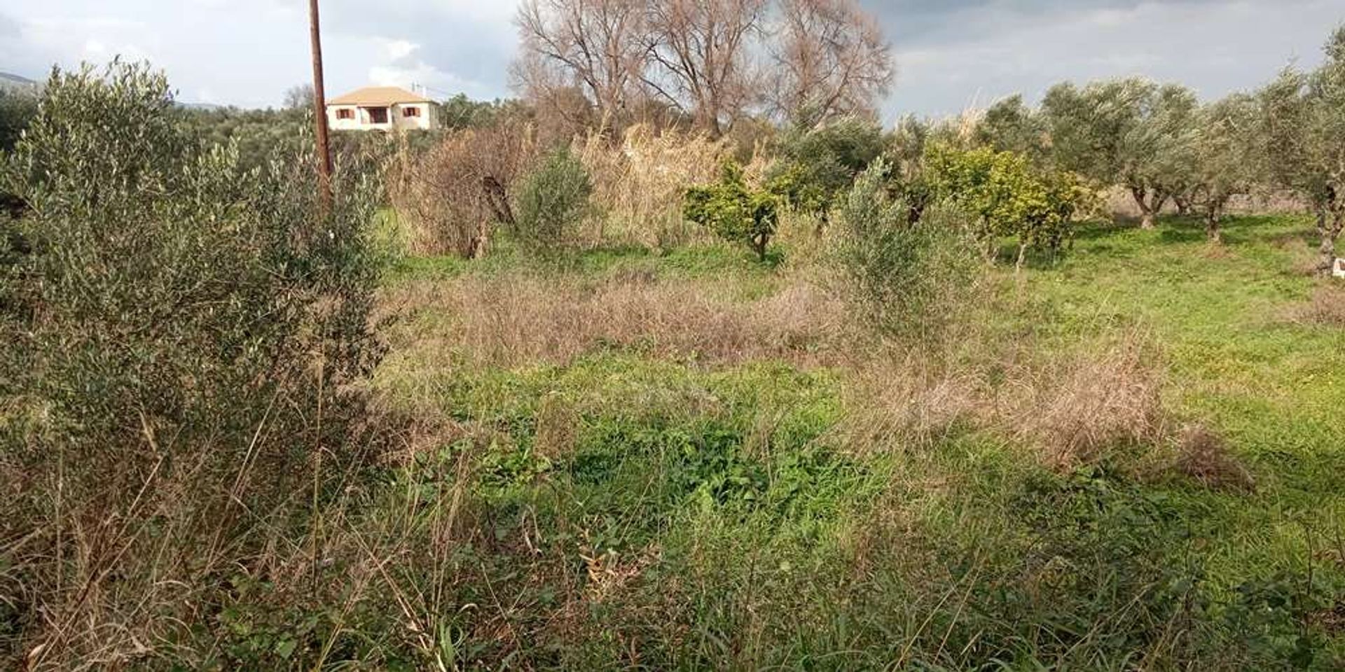 Земля в Zakynthos, Zakinthos 10086551