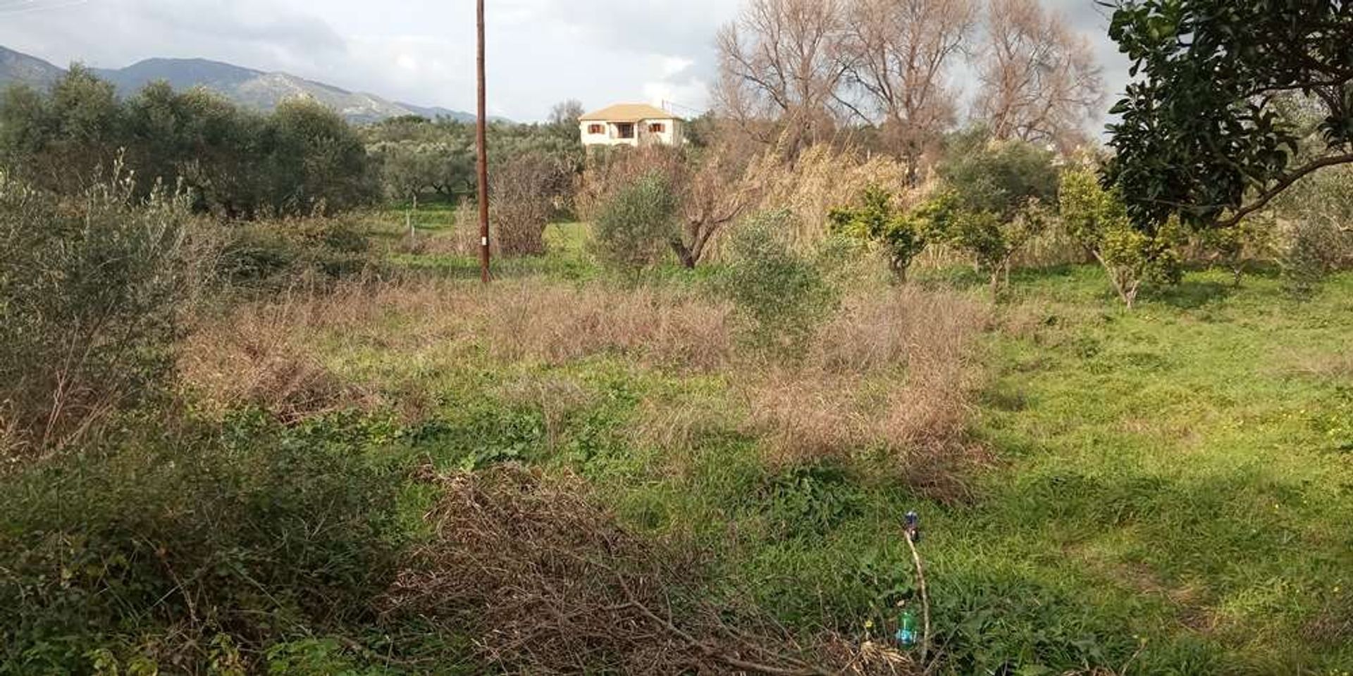 Земля в Zakynthos, Zakinthos 10086551