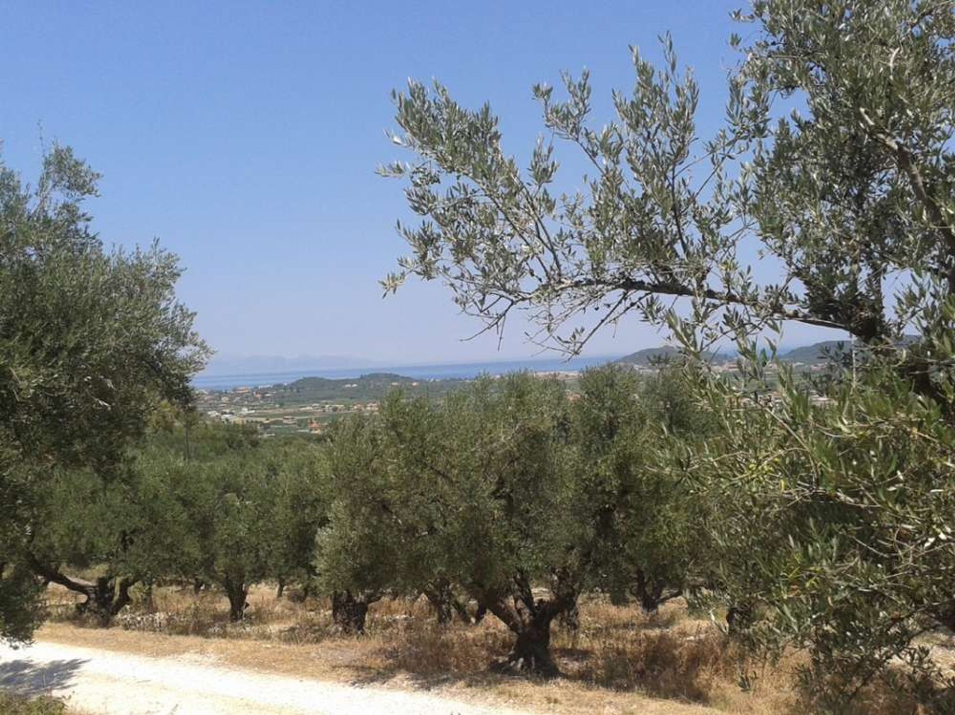 Maa sisään Zakynthos, Zakinthos 10086553