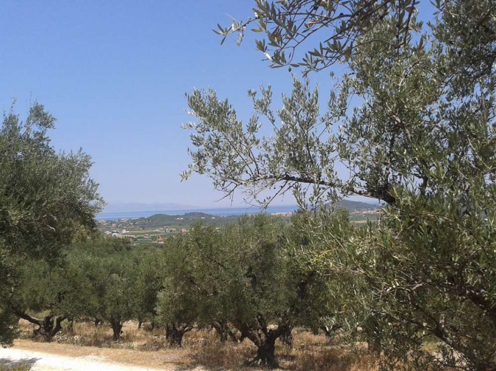 Tierra en Zakynthos, Zakinthos 10086553