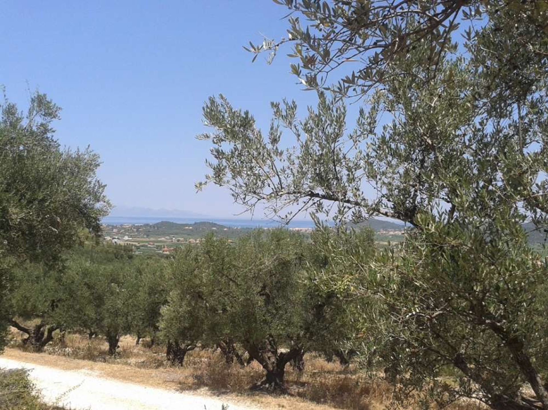 Tierra en Zakynthos, Zakinthos 10086553