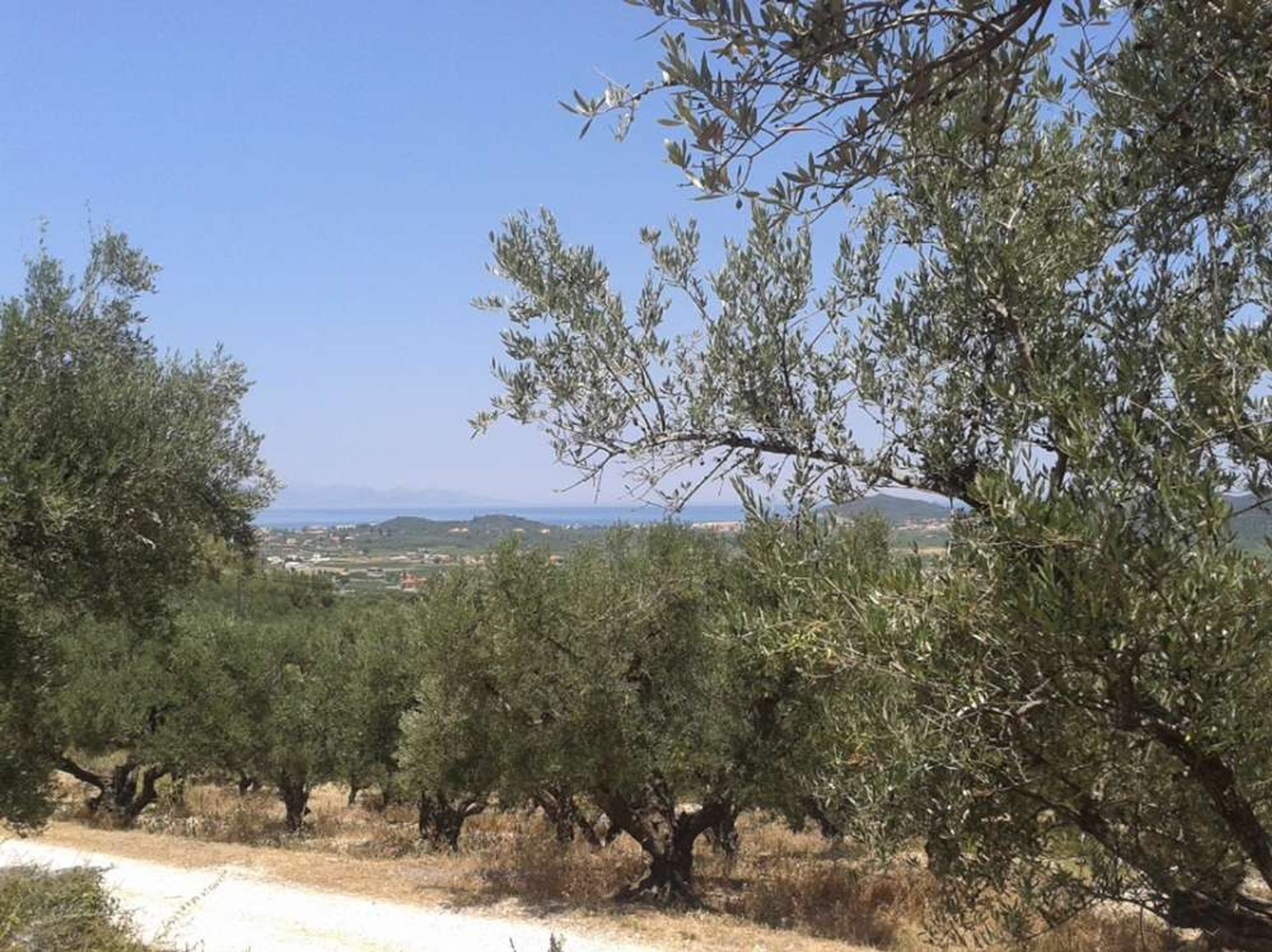 Tierra en Zakynthos, Zakinthos 10086553