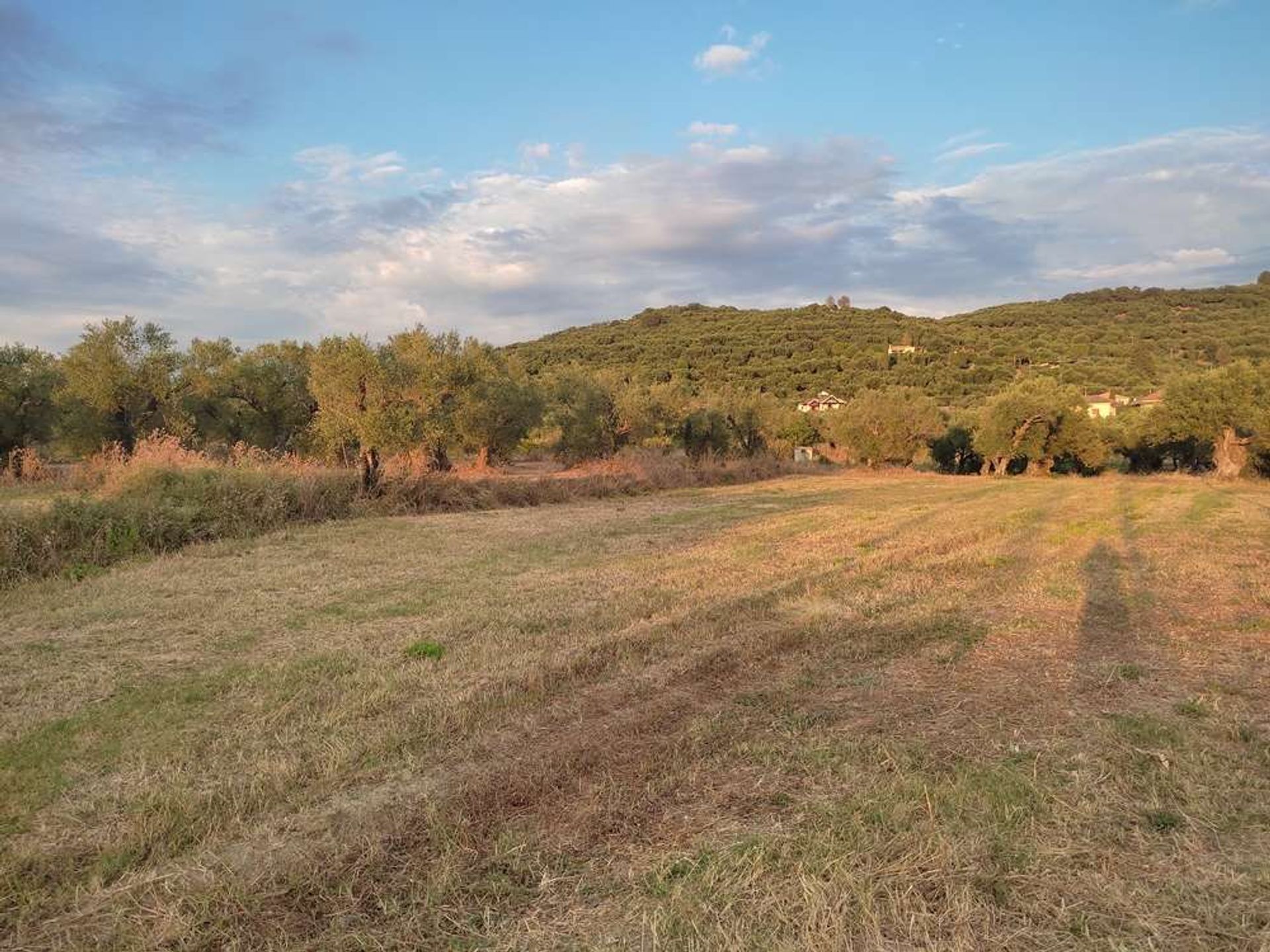 土地 在 Zakynthos, Zakinthos 10086555