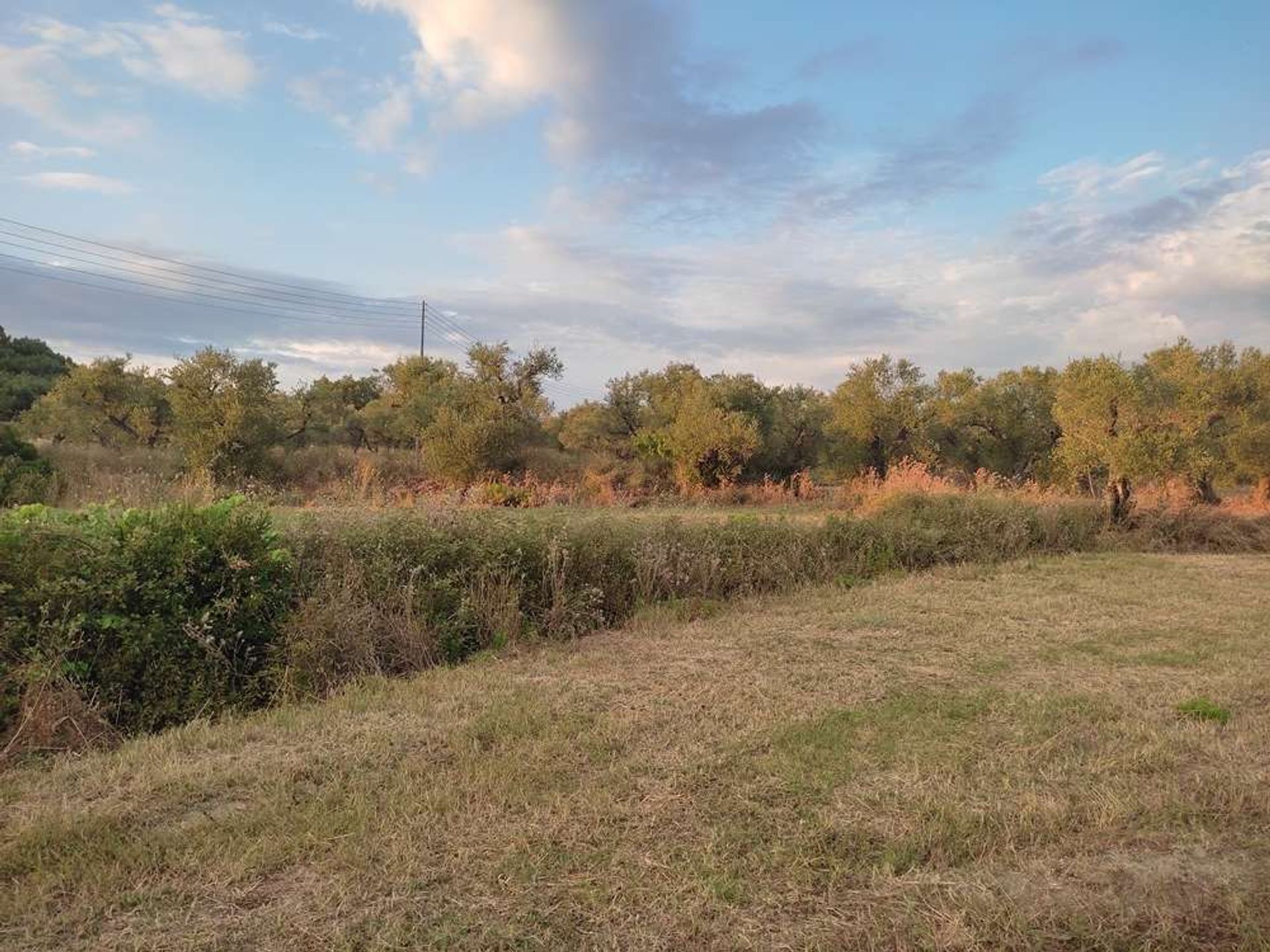 Land in Zakynthos, Zakinthos 10086555