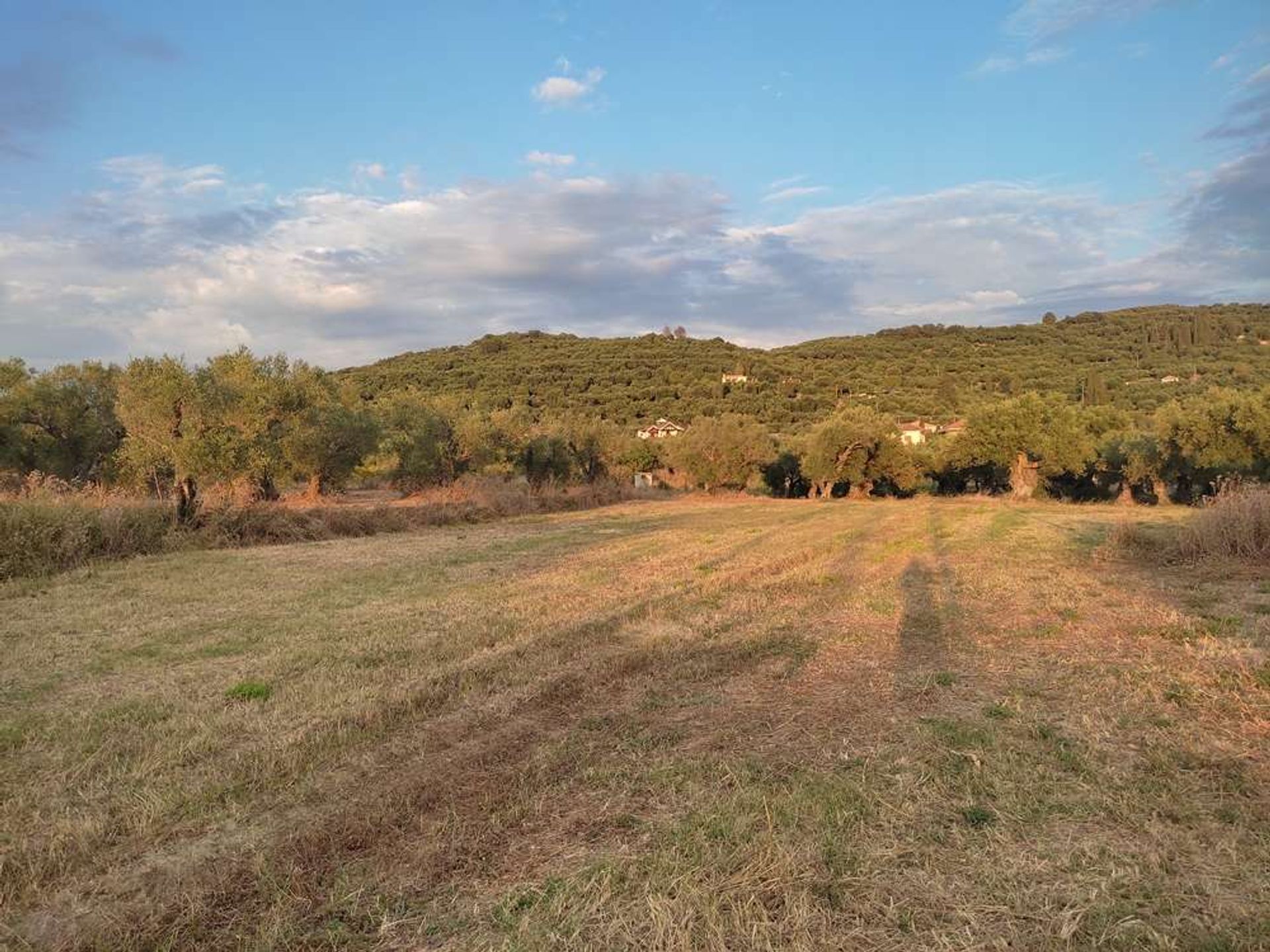 土地 在 Zakynthos, Zakinthos 10086555