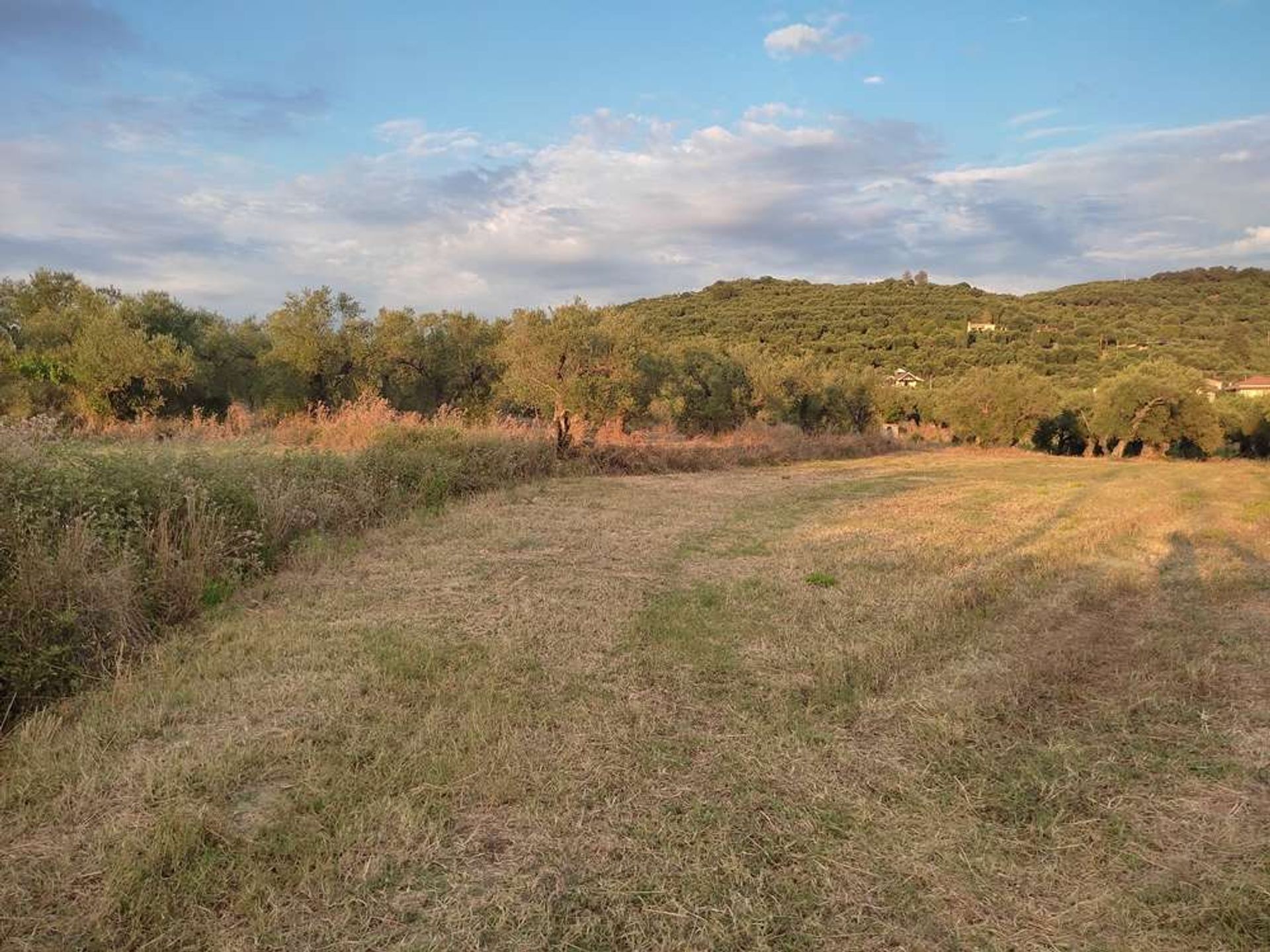 Γη σε Zakynthos, Zakinthos 10086555