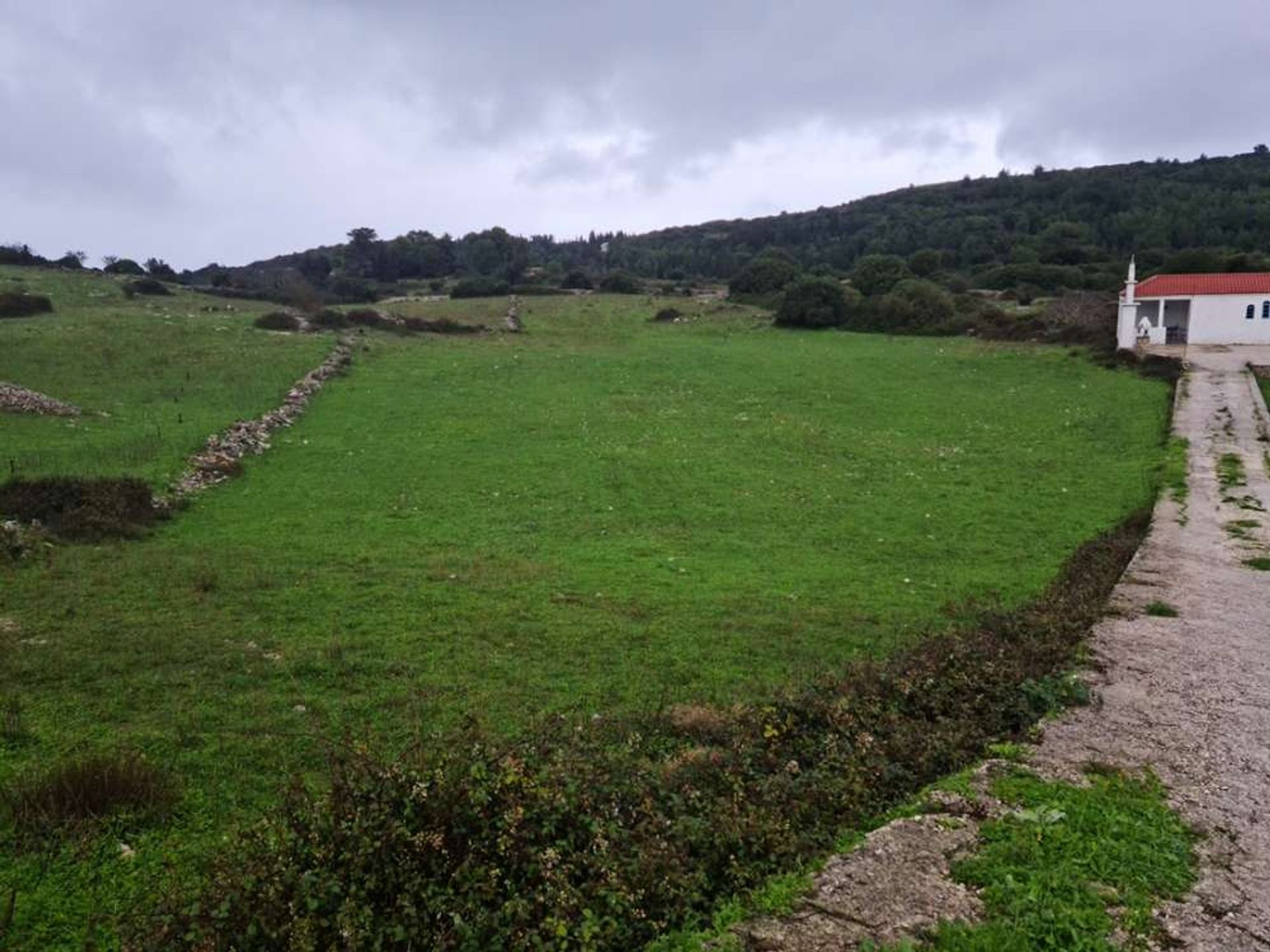 Tierra en bochalí, Jonia Nisia 10086558