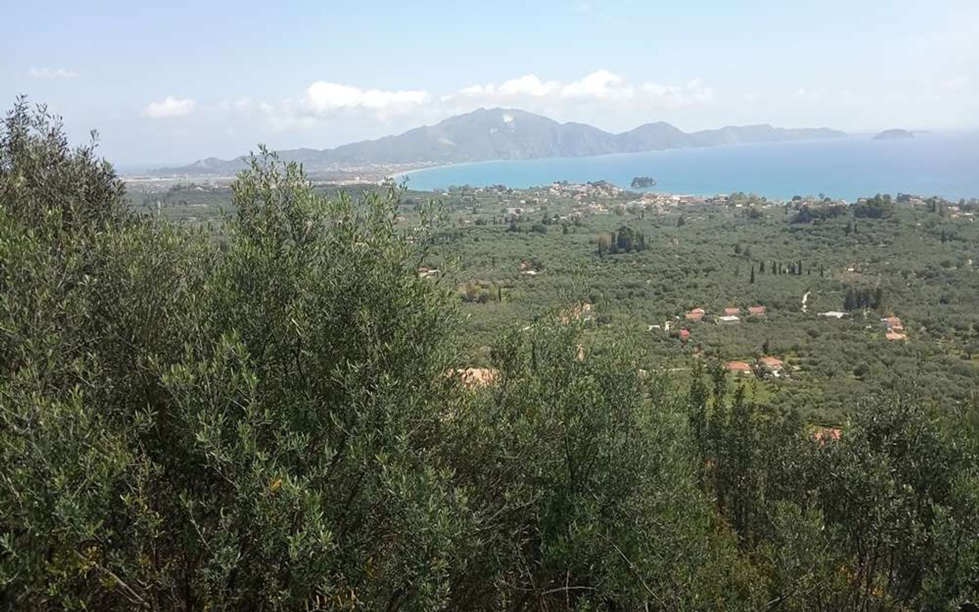 Land i Zakynthos, Zakinthos 10086560