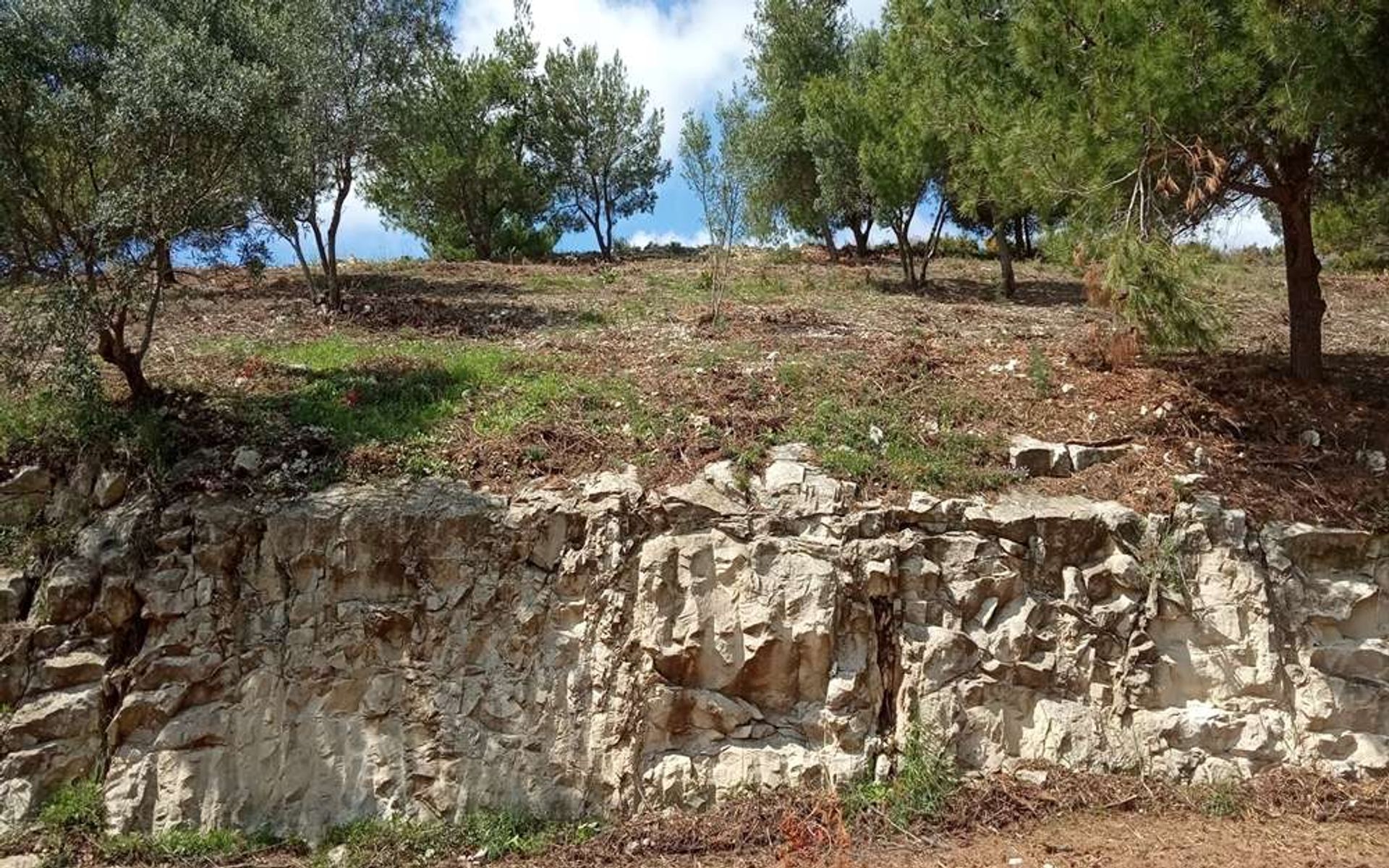 土地 在 Zakynthos, Zakinthos 10086560