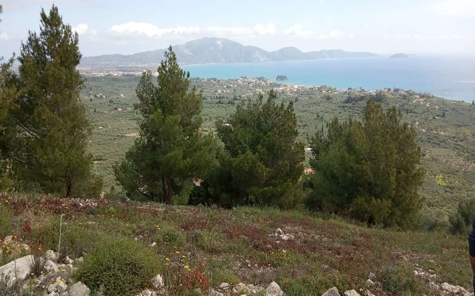 Land in Zakynthos, Zakinthos 10086560