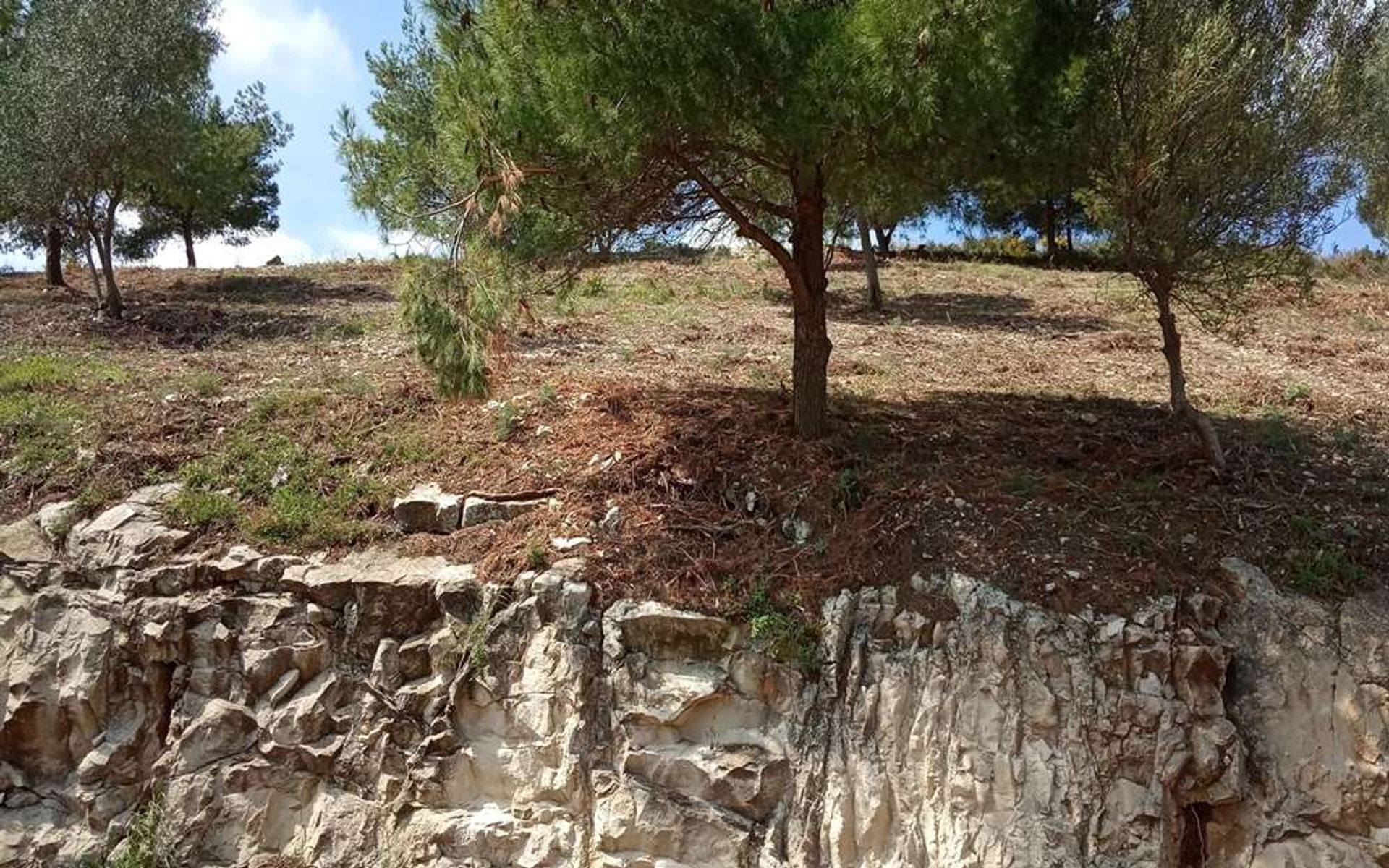 Land i Bochali, Ionia Nisia 10086560