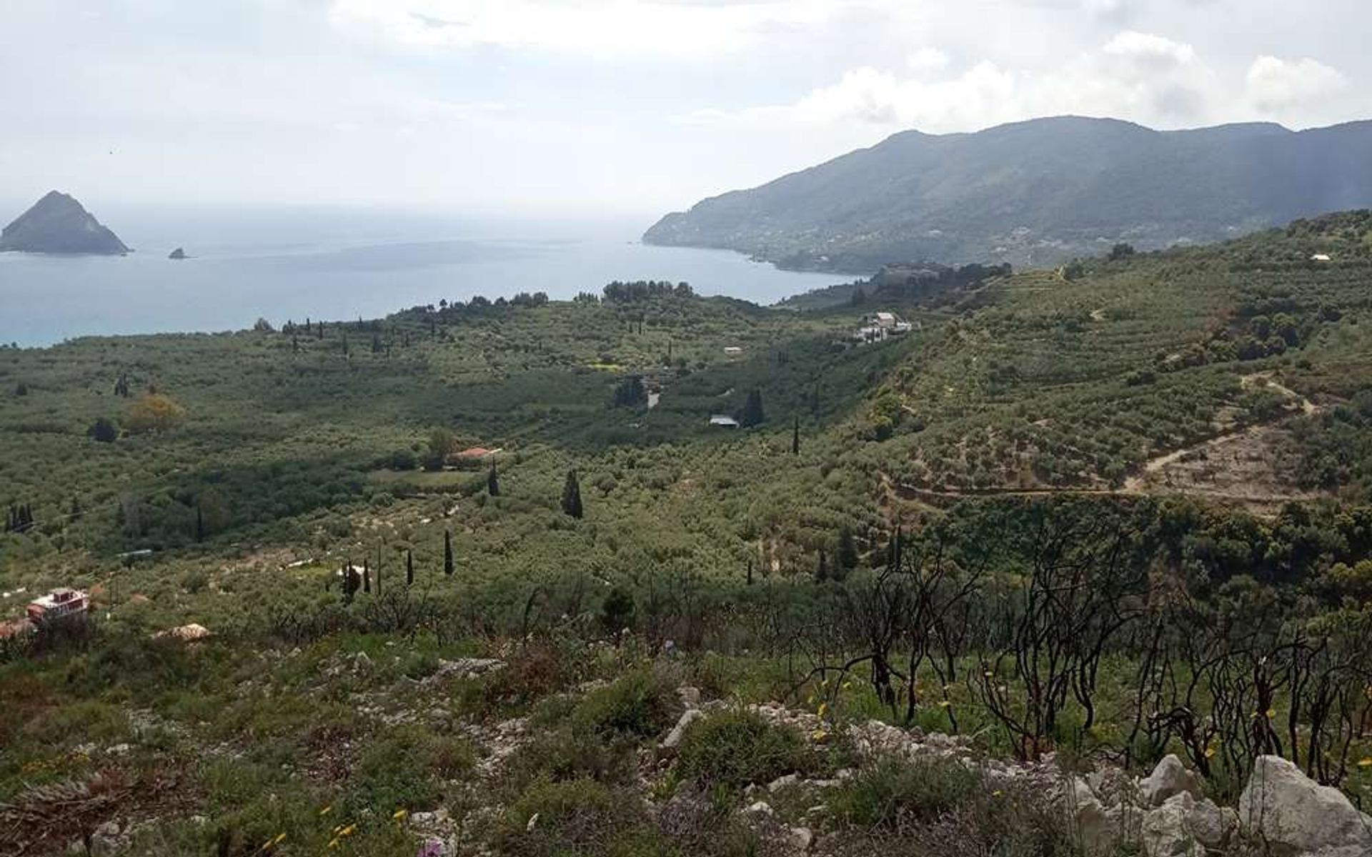 Land in Zakynthos, Zakinthos 10086560