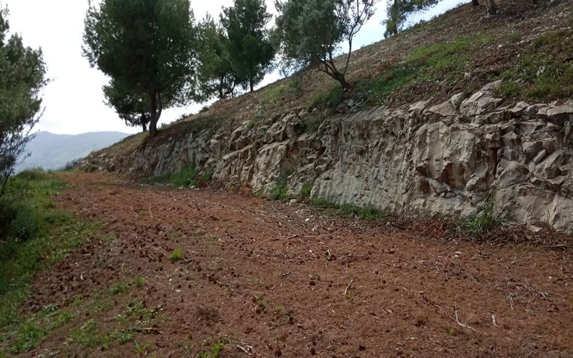 土地 在 Zakynthos, Zakinthos 10086560