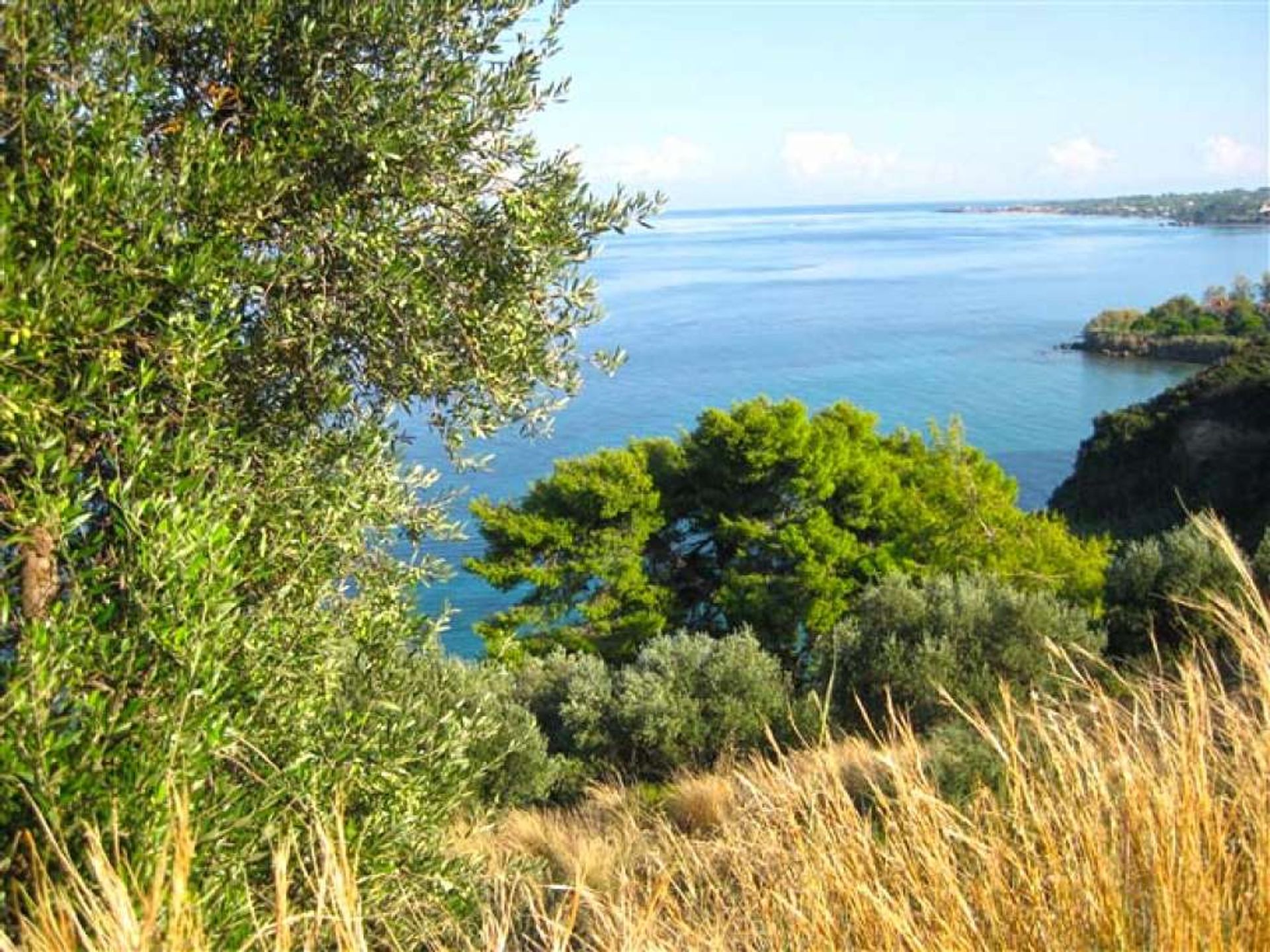 Земля в Zakynthos, Zakinthos 10086561