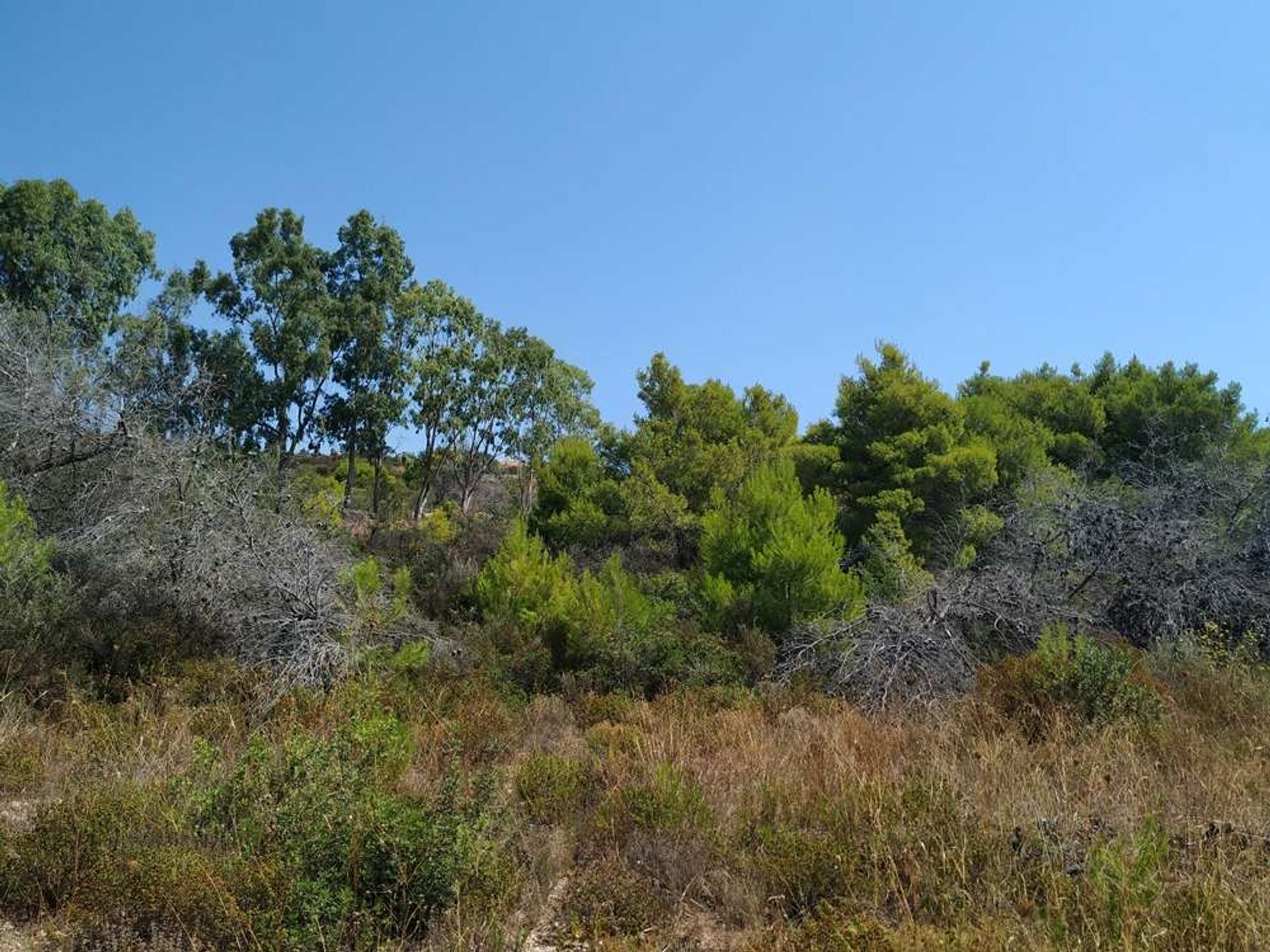 Tanah dalam Zakynthos, Zakinthos 10086562