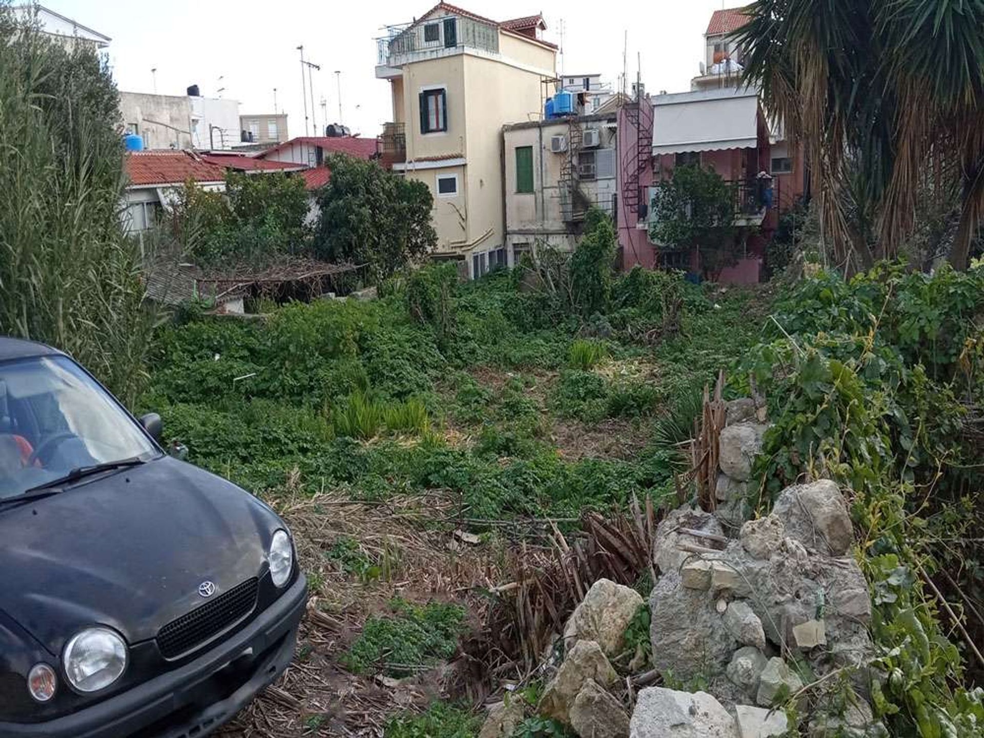 Terre dans Zakynthos, Zakinthos 10086564