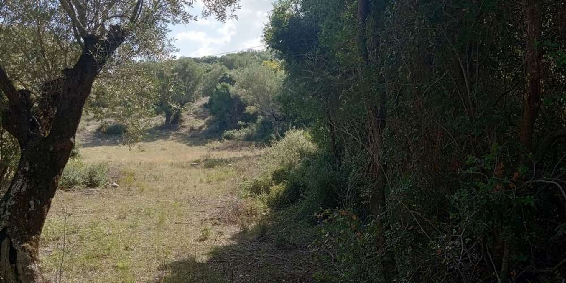 Land in Zakynthos, Zakinthos 10086570