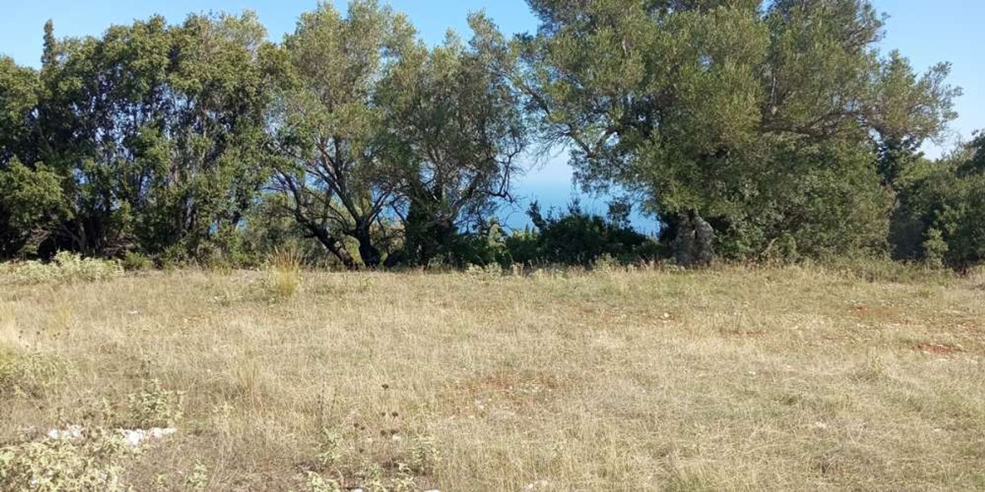 Land in Bochali, Ionië Nisia 10086570