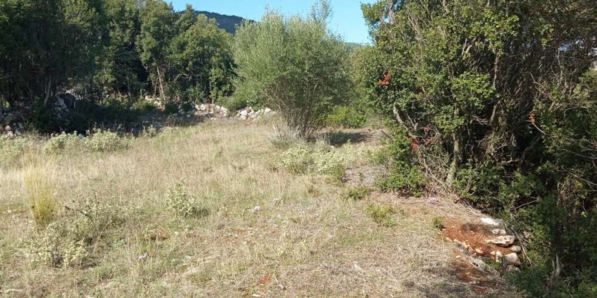 Tierra en Zakynthos, Zakinthos 10086570