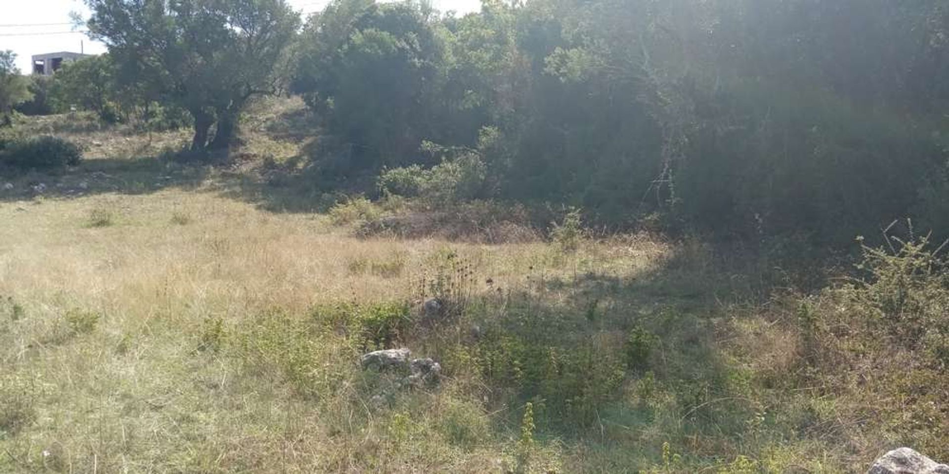 Land i Bochali, Ionia Nisia 10086570