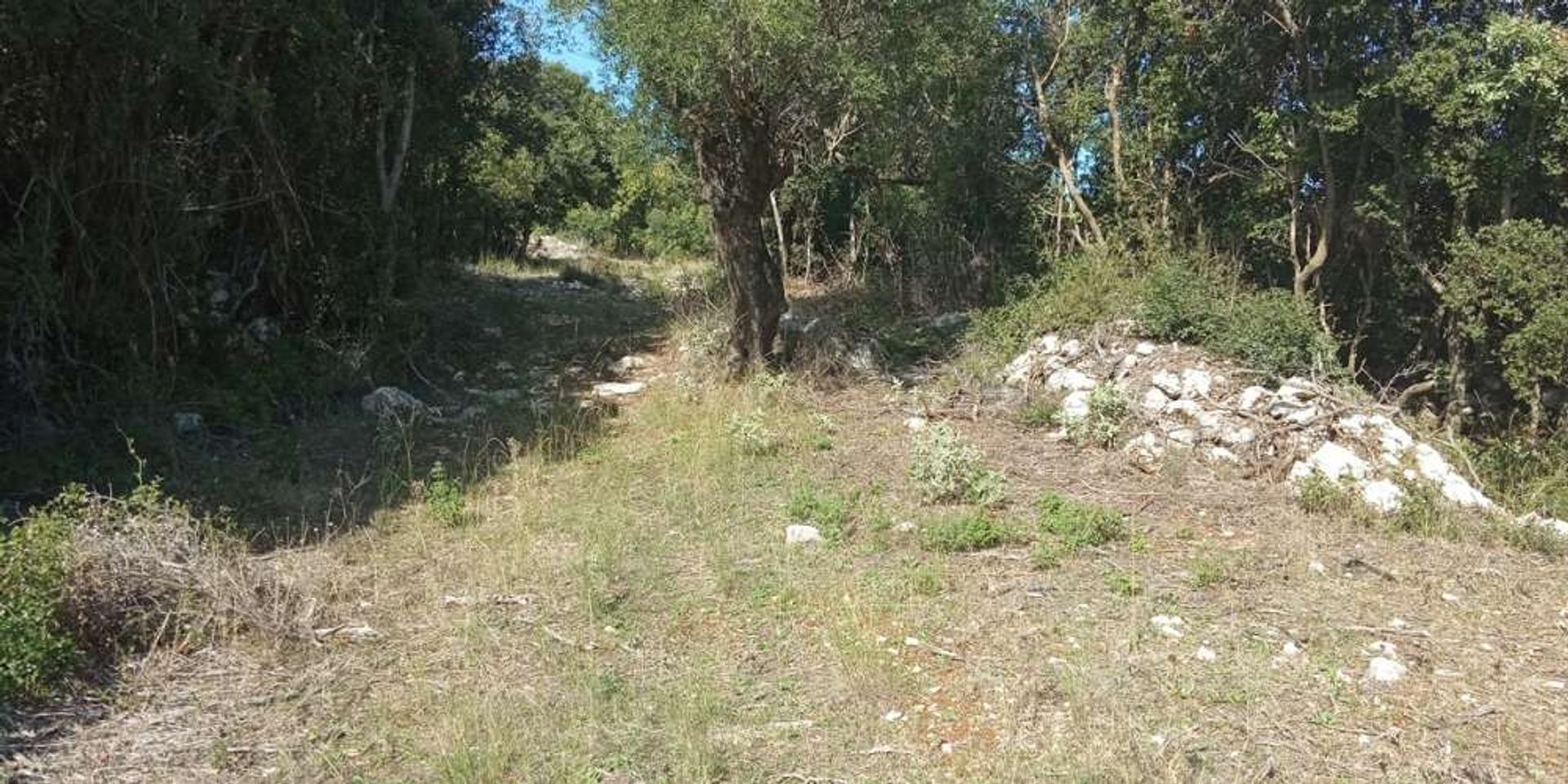 Tierra en Zakynthos, Zakinthos 10086570