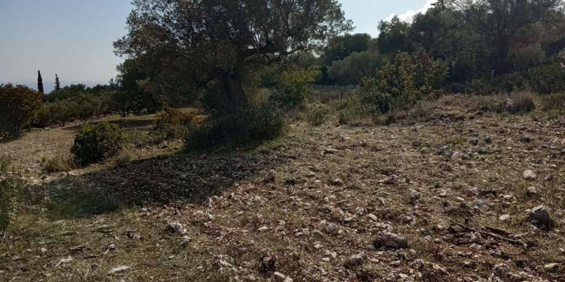 Land in Zakynthos, Zakinthos 10086570